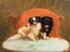 Portrait Of A Pair Pair Of Pekingese Dogs "Jip & Randolf", circa 1900 English S