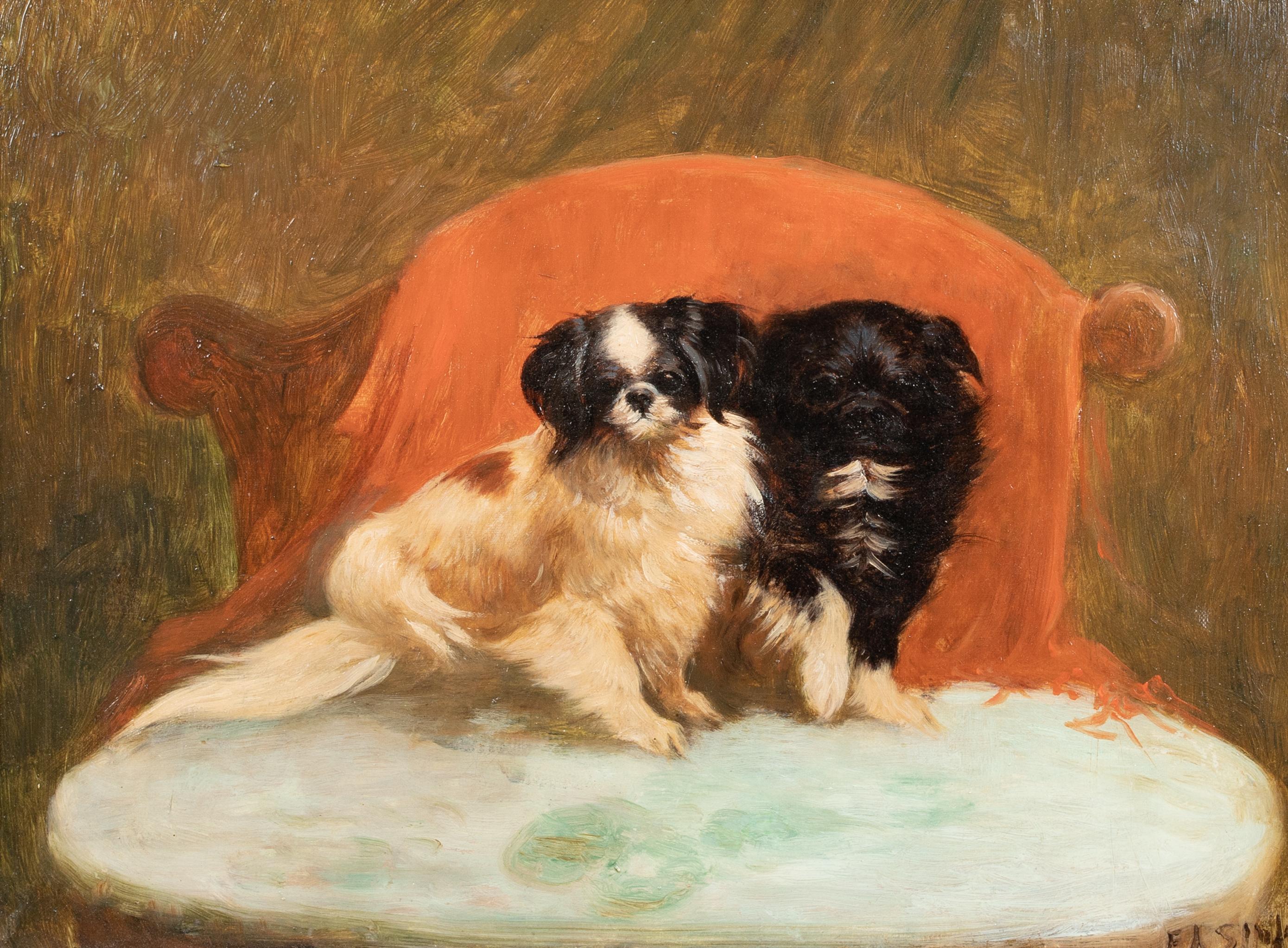 Portrait Of A Pair Pair Of Pekingese Dogs 