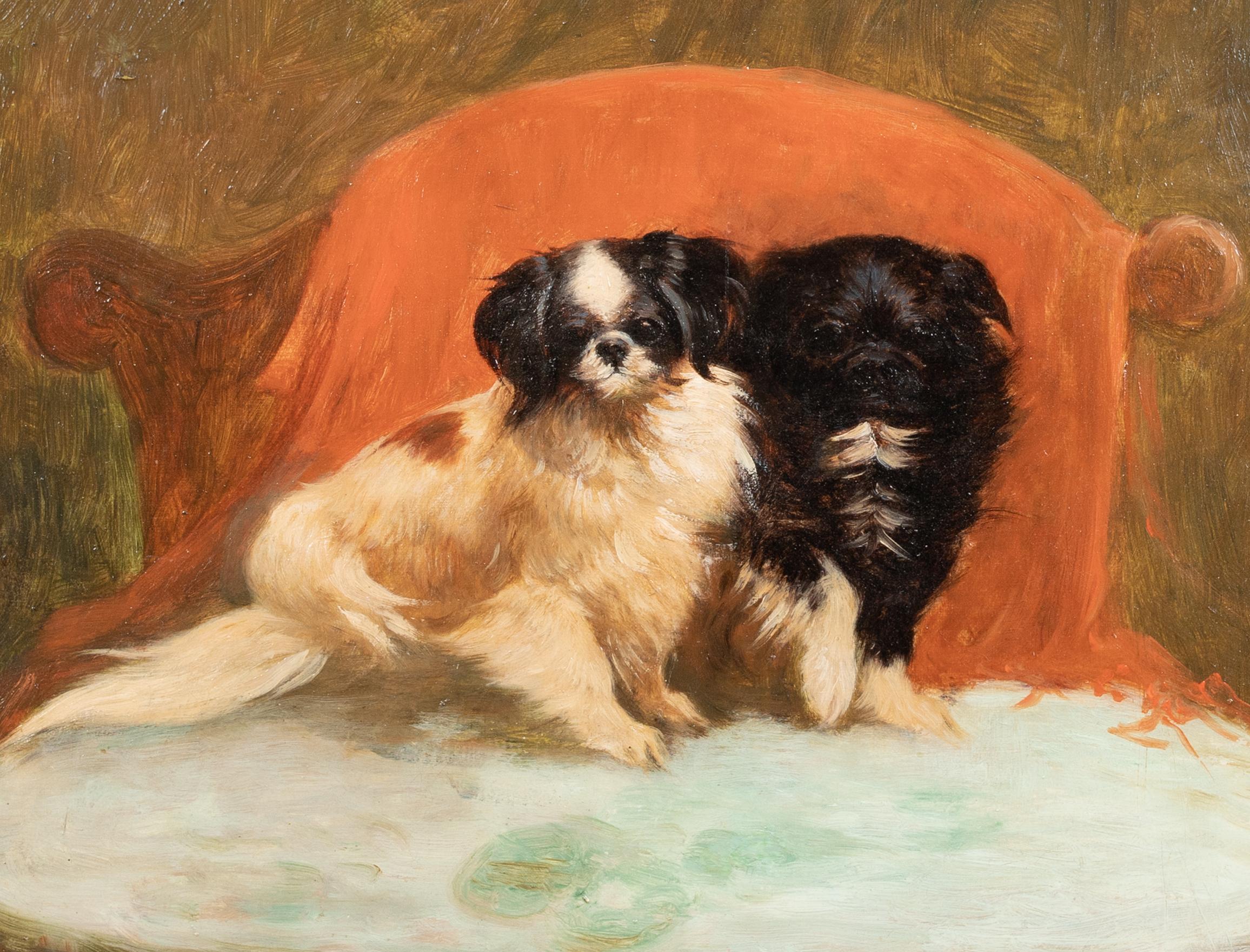 Portrait Of A Pair Pair Of Pekingese Dogs 