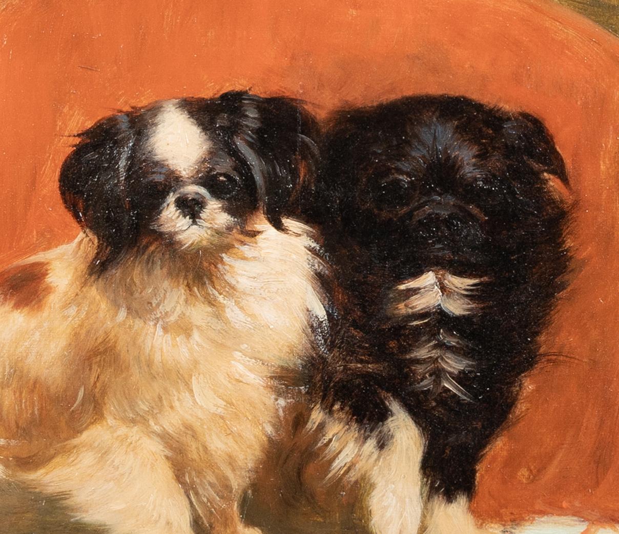 Portrait Of A Pair Pair Of Pekingese Dogs 