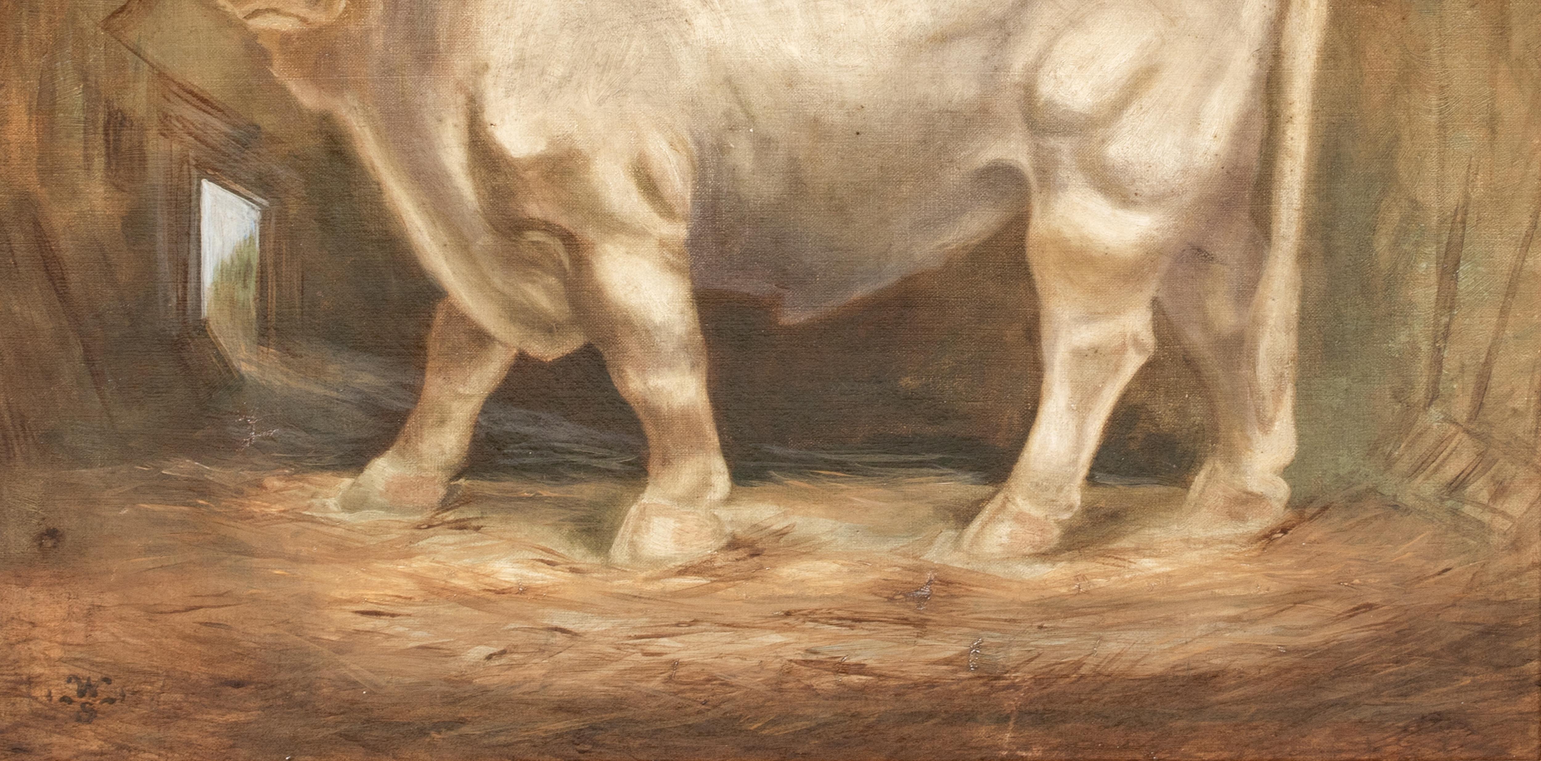 Portrait Of A Prize Charolais Bull , 19th Century   monogrammed WS For Sale 7