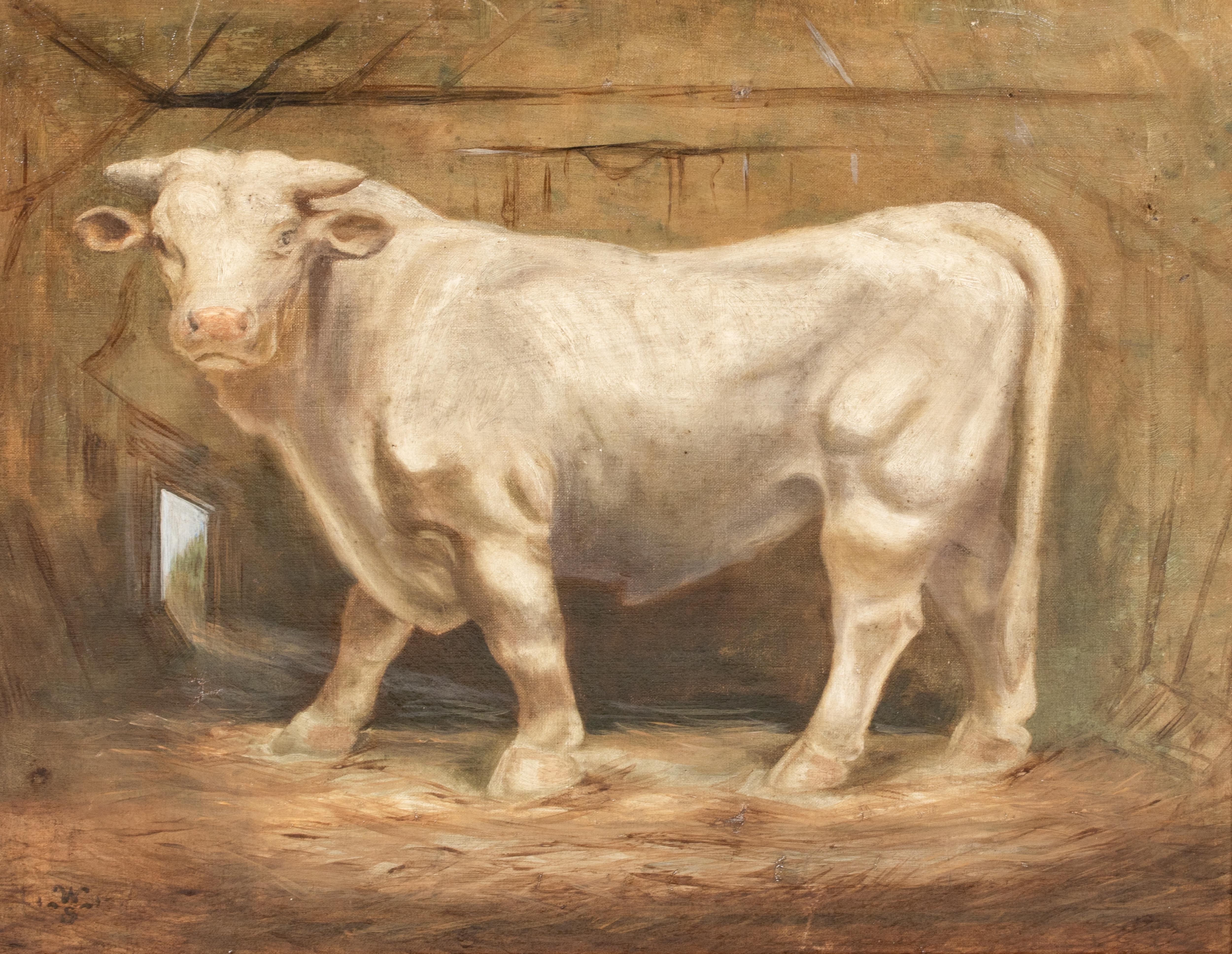 Portrait d'un taureau charolais, 19ème siècle 

monogramme WS

Grand portrait français du XIXe siècle d'un taureau charolais de prix, huile sur toile signée WS. Bonne qualité et bon état, signé et inscrit par l'artiste au verso. Superbe détail et