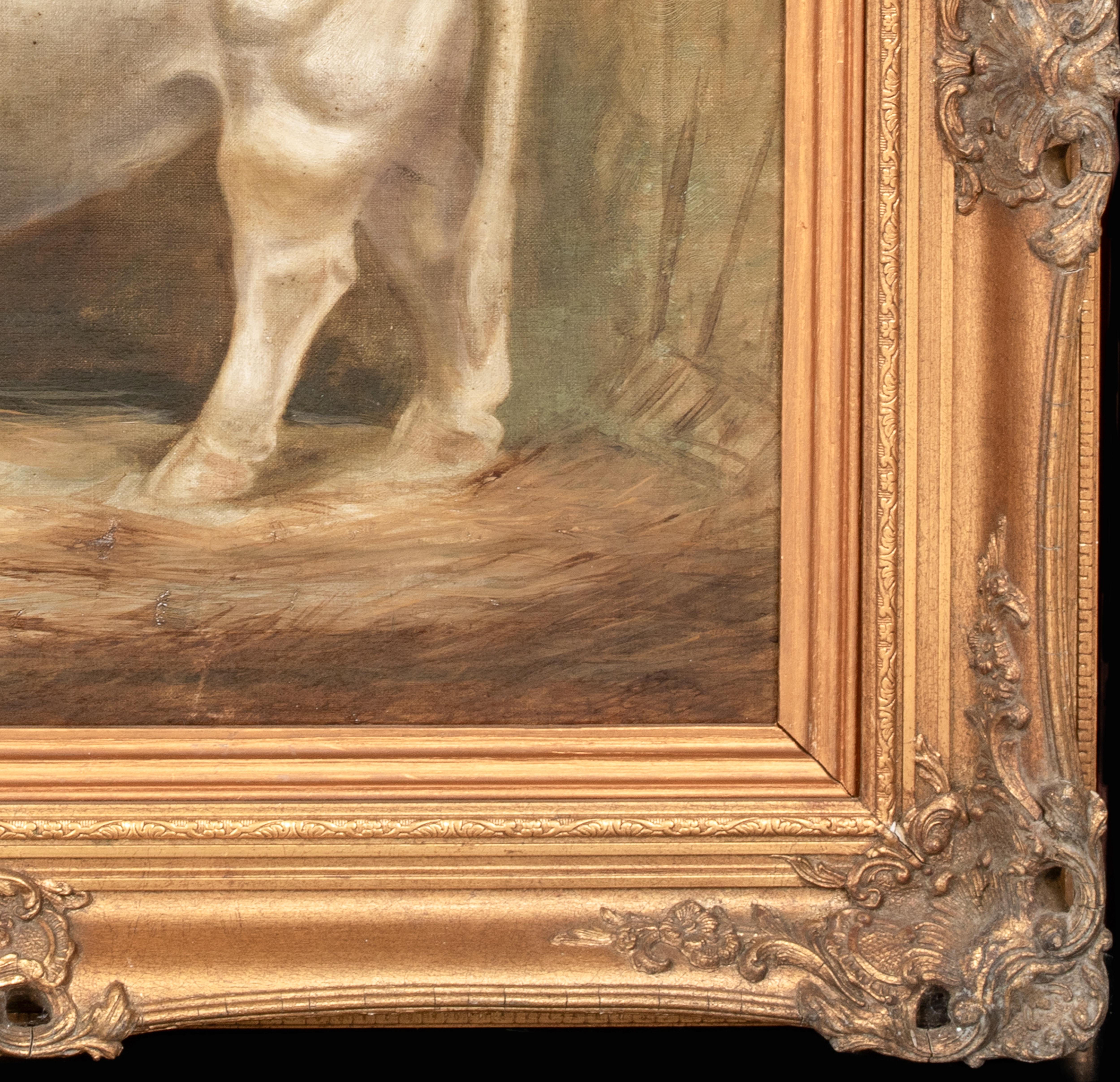 Portrait Of A Prize Charolais Bull , 19th Century   monogrammed WS For Sale 1