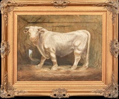 Antique Portrait Of A Prize Charolais Bull , 19th Century   monogrammed WS
