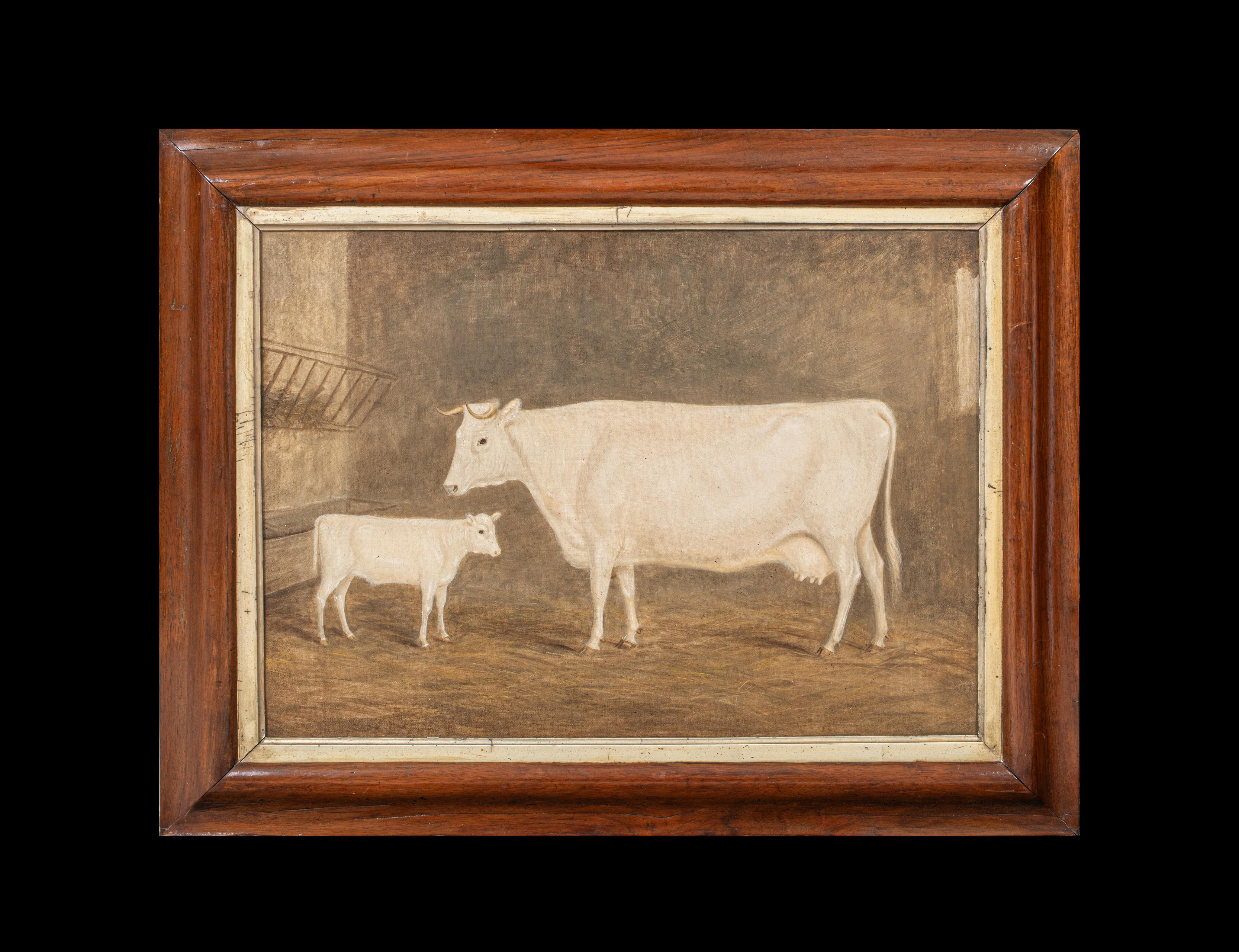Portrait of A Prize Cow & Calf 19th Century  - William Henry Davis (1783-1865) - Painting by Unknown