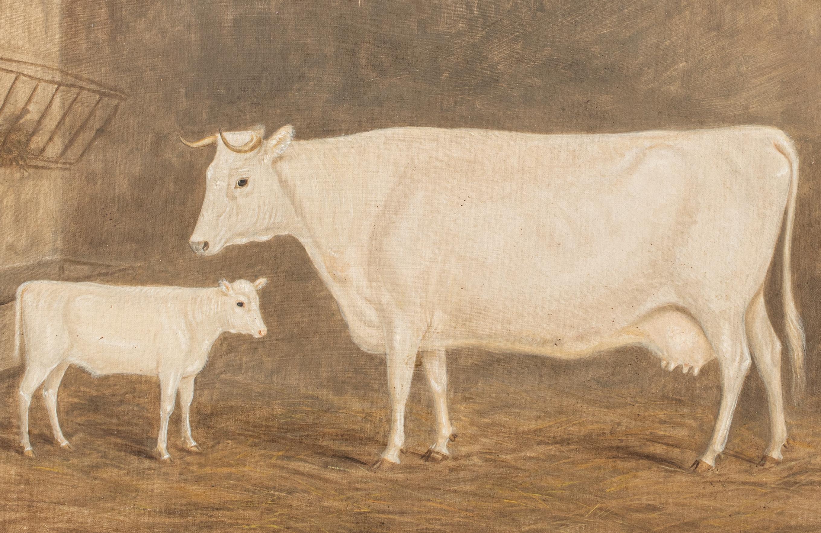 Portrait of A Prize Cow & Calf 19th Century  - William Henry Davis (1783-1865) For Sale 2