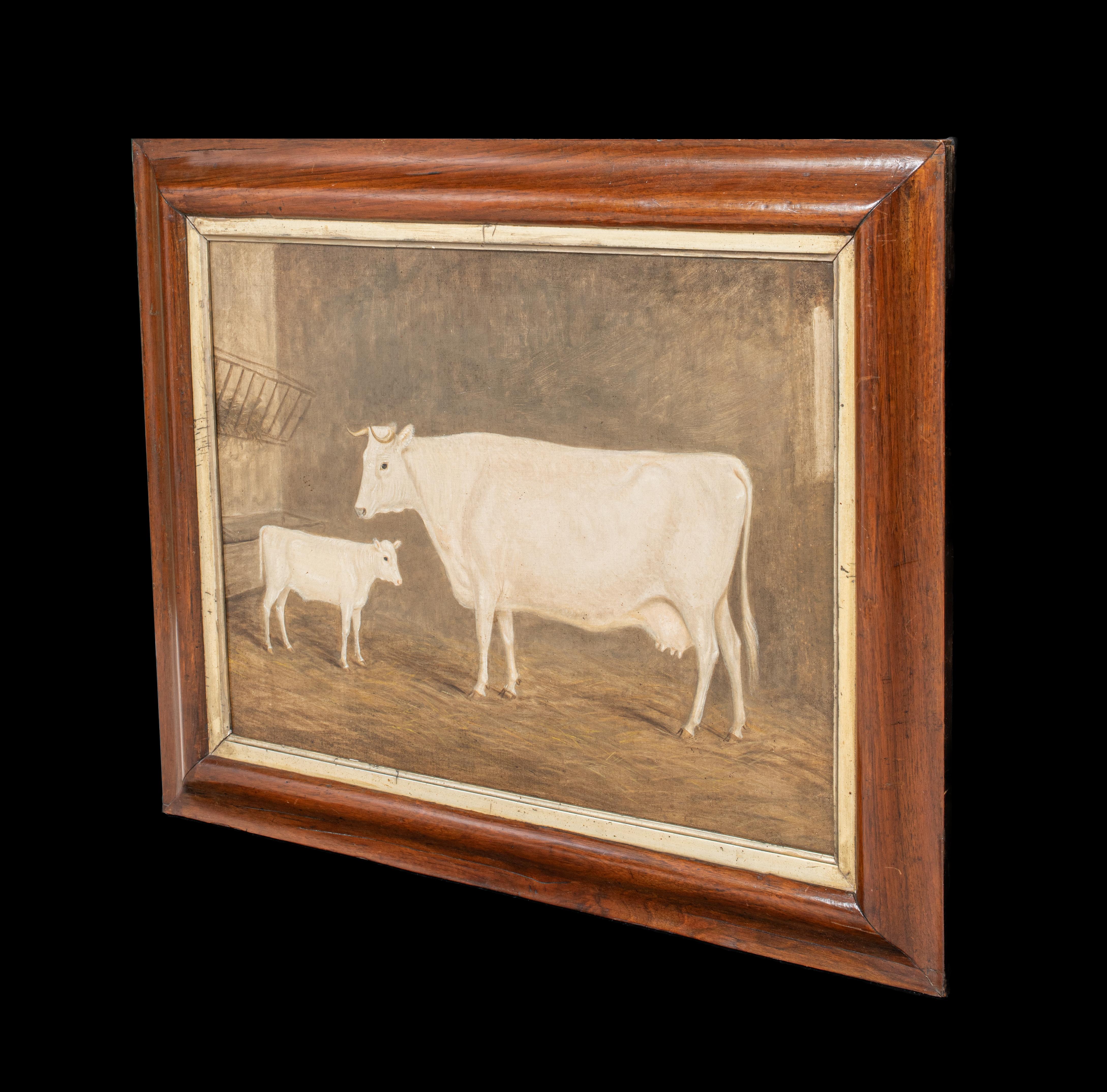 Portrait of A Prize Cow & Calf 19th Century  - William Henry Davis (1783-1865) For Sale 5