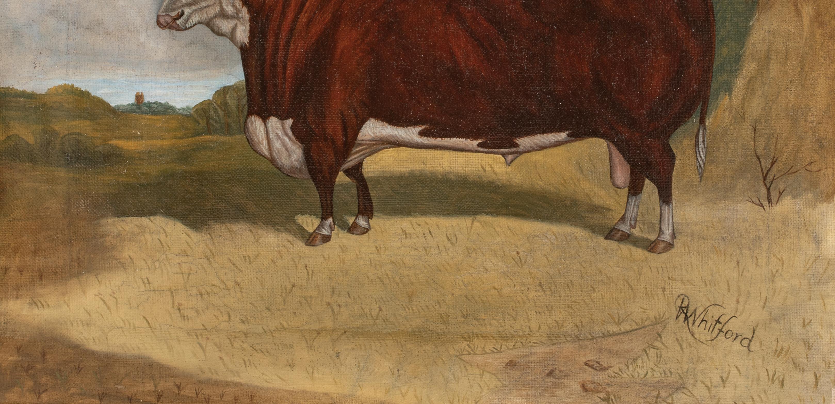 Retrato De Un Toro Hereford De Premio, Siglo XIX  por RICHARD WHITFORD (1821-1890) 6