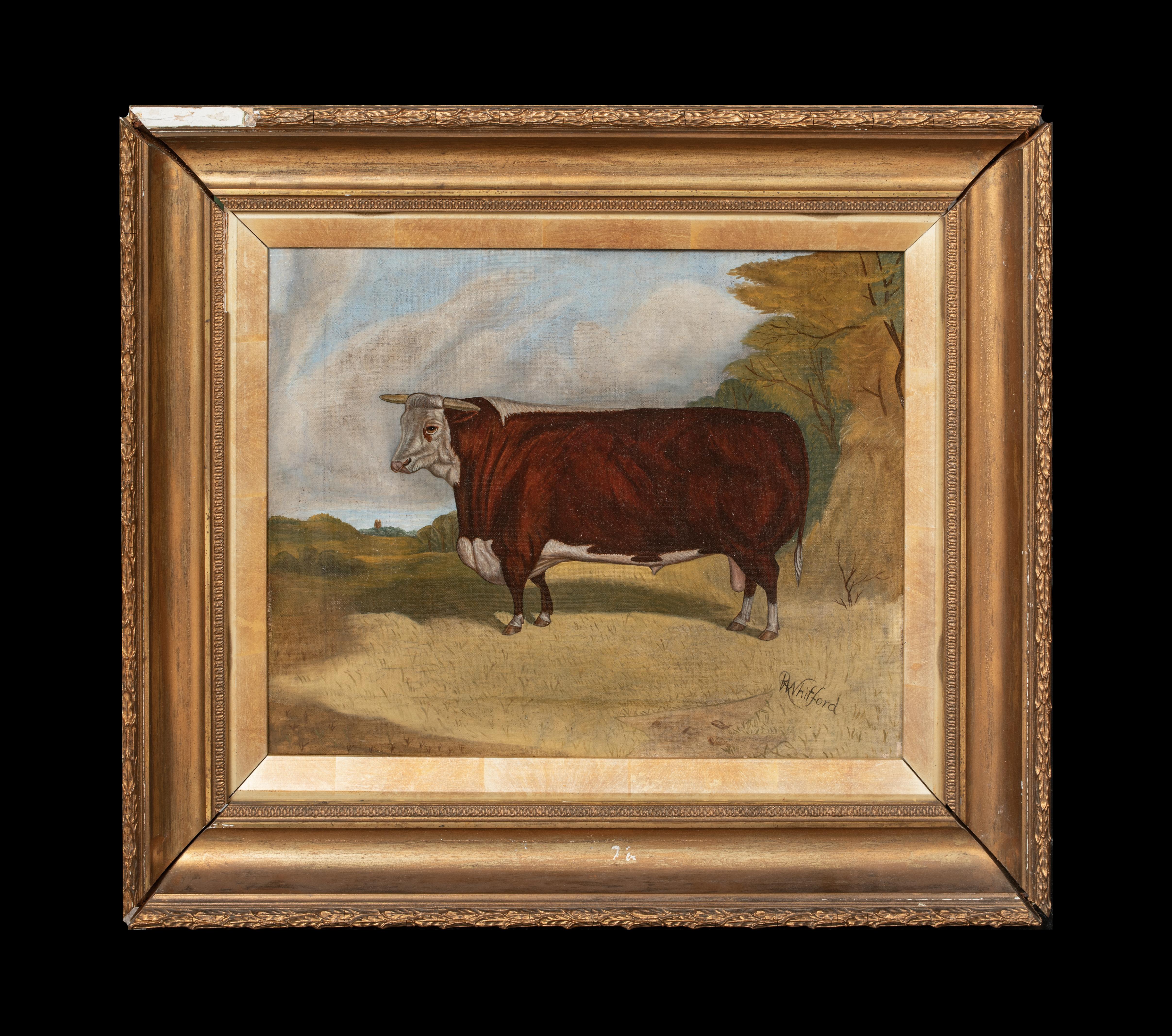 Retrato De Un Toro Hereford De Premio, Siglo XIX  por RICHARD WHITFORD (1821-1890) - Painting de Unknown