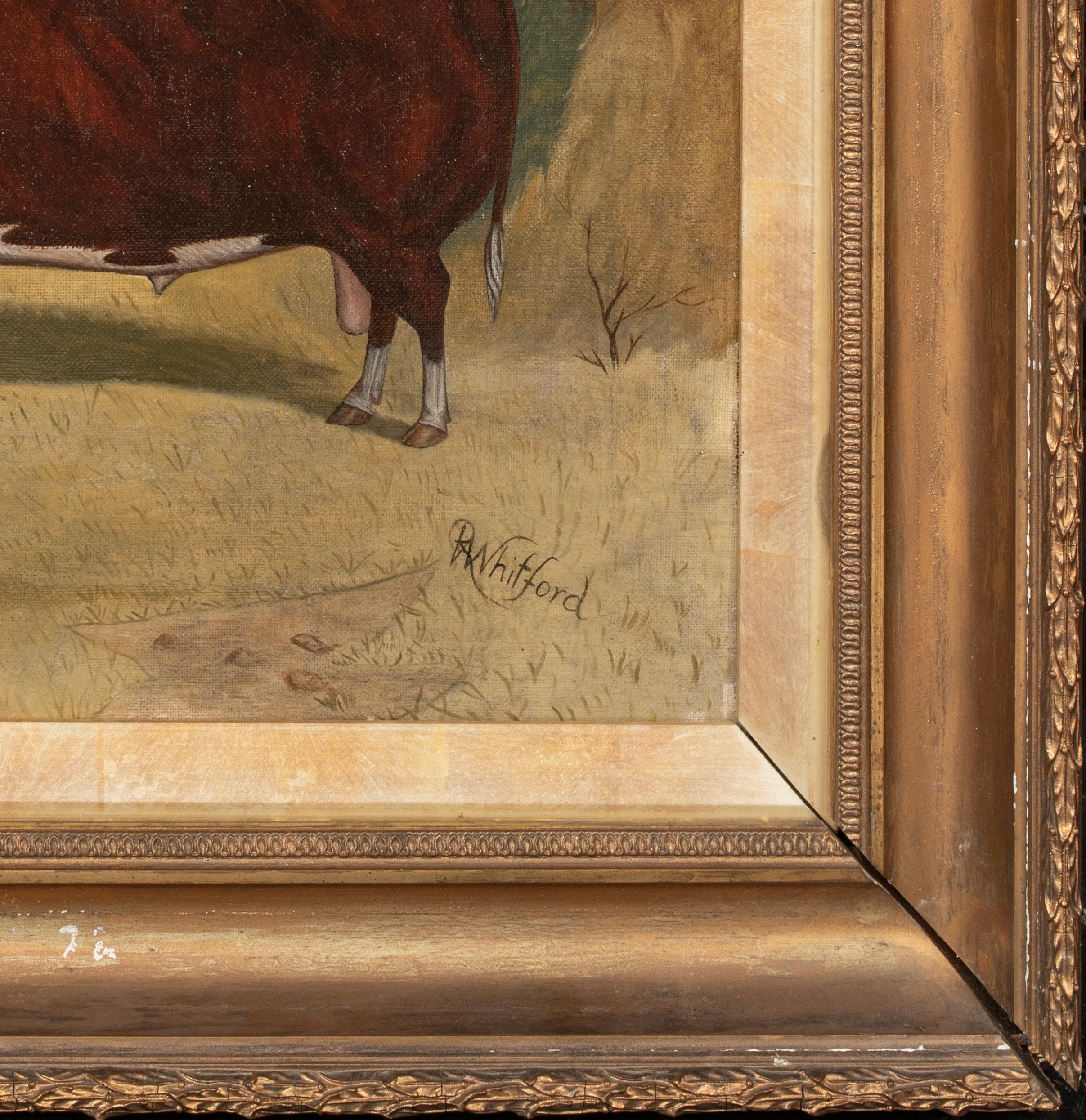 Retrato De Un Toro Hereford De Premio, Siglo XIX

por RICHARD WHITFORD (1821-1890)

Gran retrato del siglo XIX de un toro Hereford premiado, óleo sobre lienzo de Richard Whitford. Ejemplo de excelente calidad y estado del pintor autodidacta popular