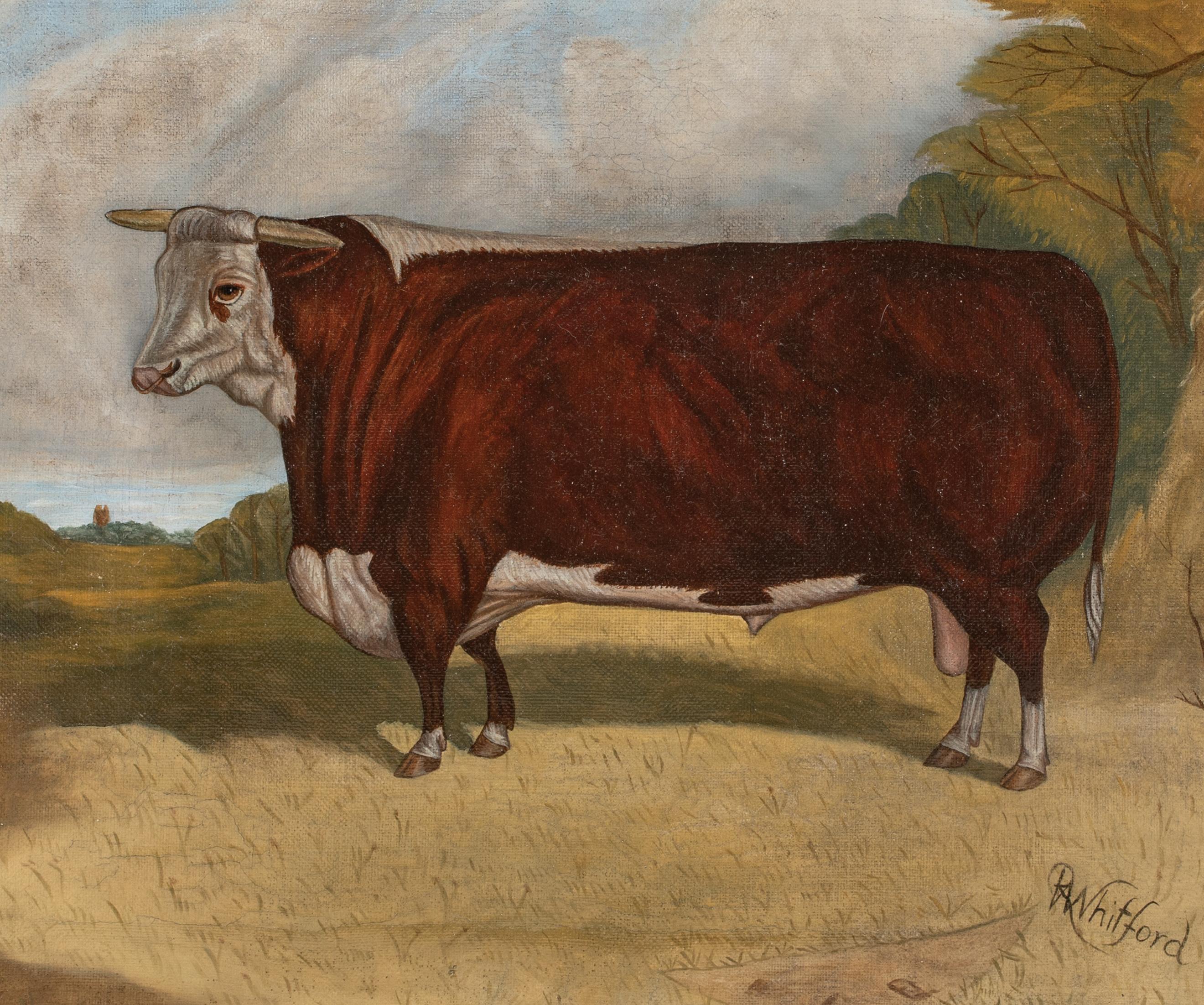 Retrato De Un Toro Hereford De Premio, Siglo XIX  por RICHARD WHITFORD (1821-1890) 1
