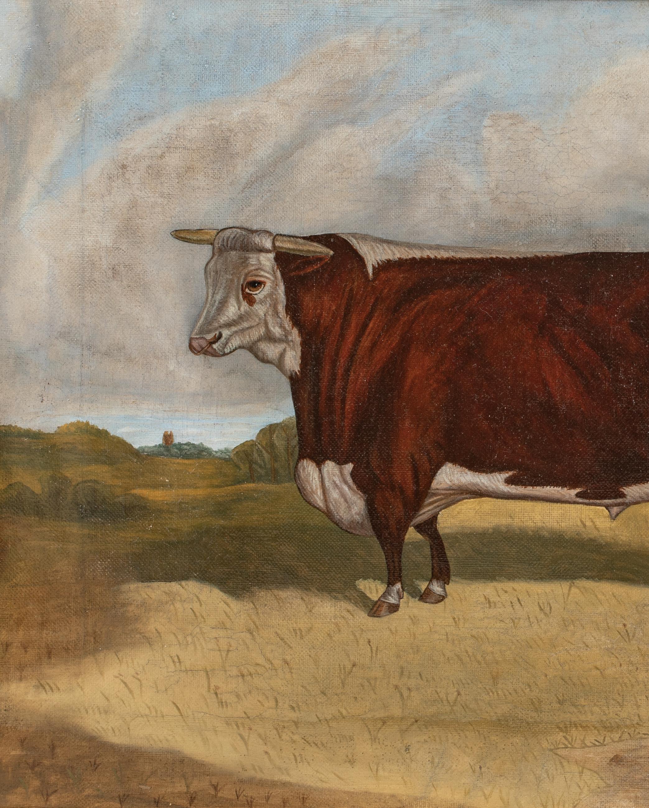 Retrato De Un Toro Hereford De Premio, Siglo XIX  por RICHARD WHITFORD (1821-1890) 2