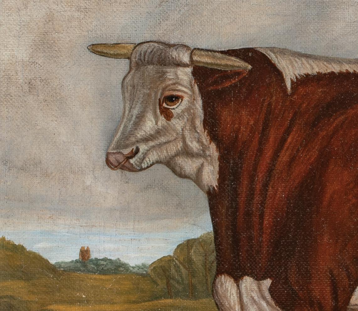 Retrato De Un Toro Hereford De Premio, Siglo XIX  por RICHARD WHITFORD (1821-1890) 3