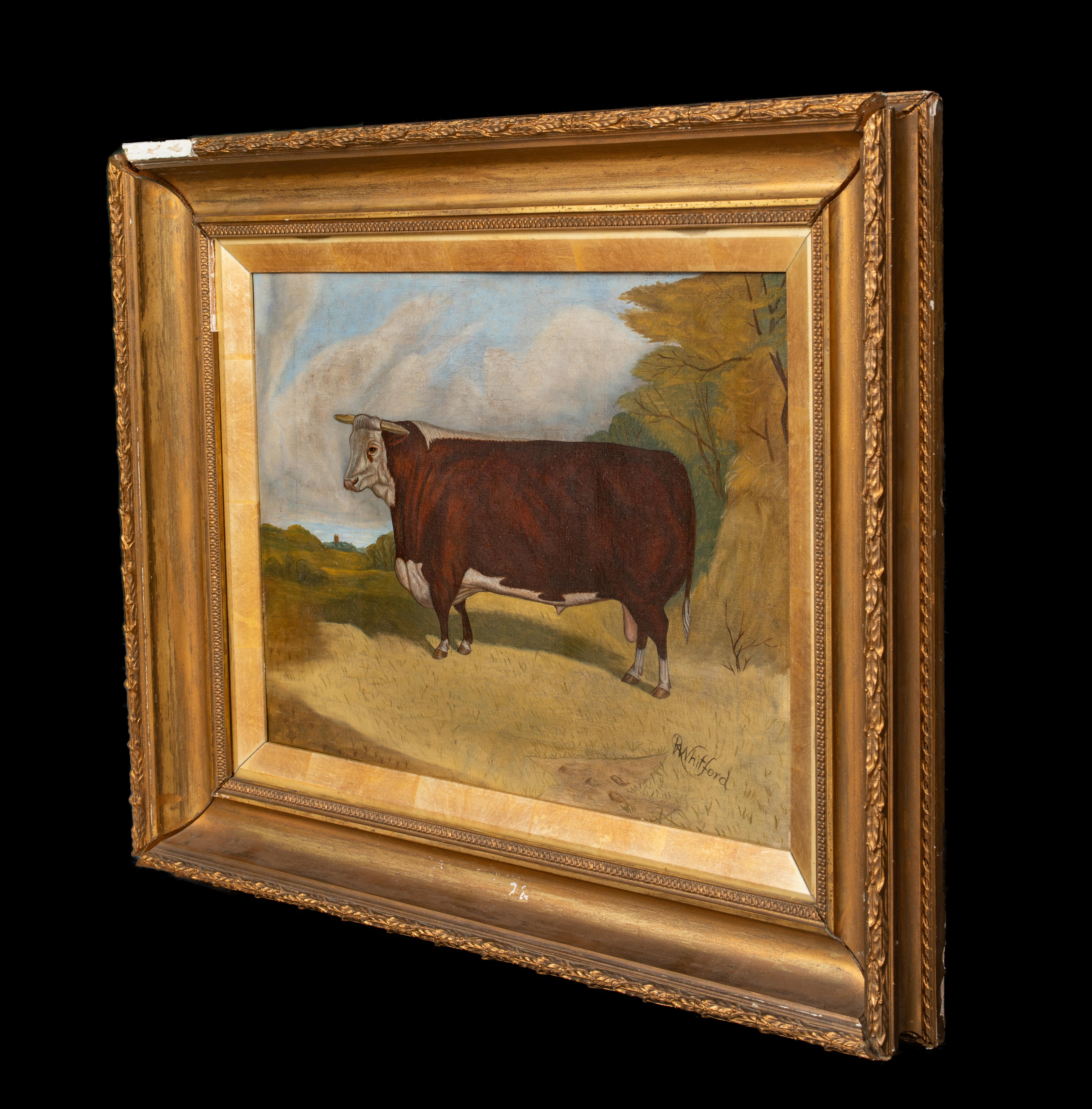 Retrato De Un Toro Hereford De Premio, Siglo XIX  por RICHARD WHITFORD (1821-1890) 4