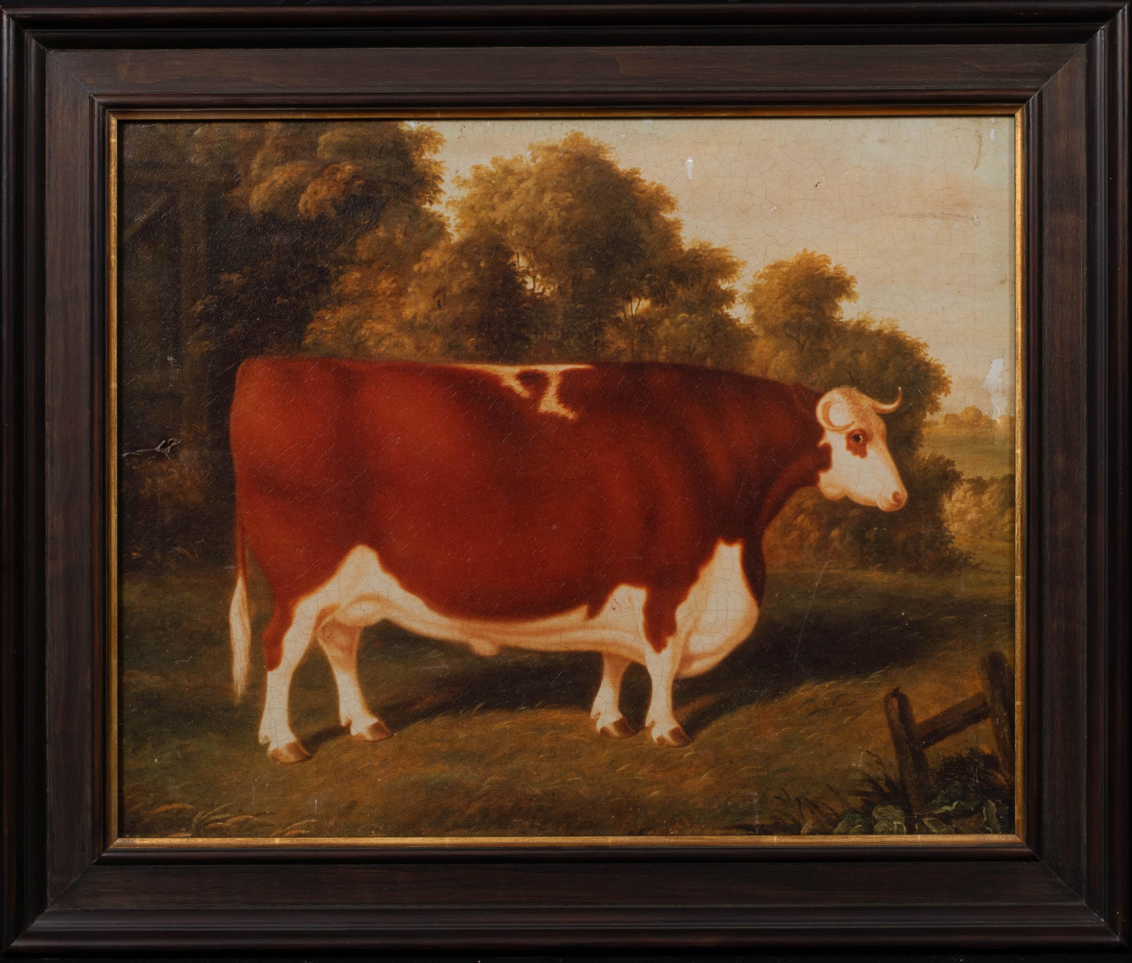 Unknown Animal Painting - Portrait of A Prize Hereford Bull, 19th Century - Circle Of Thomas Weaver