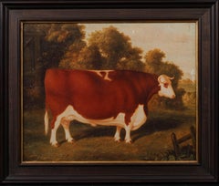 Antique Portrait of A Prize Hereford Bull, 19th Century - Circle Of Thomas Weaver