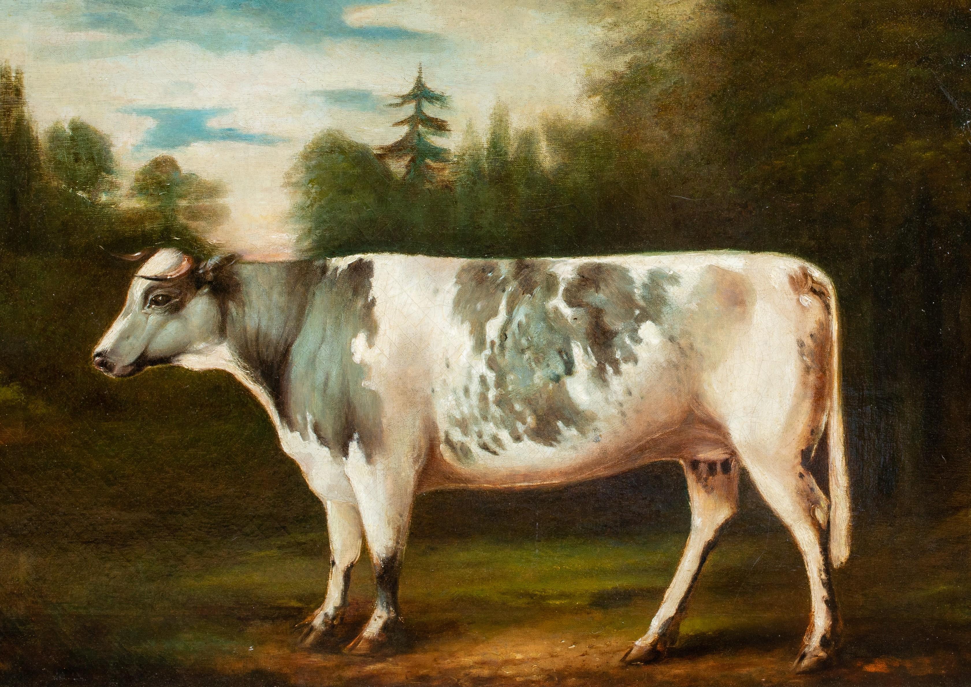 old cow painting