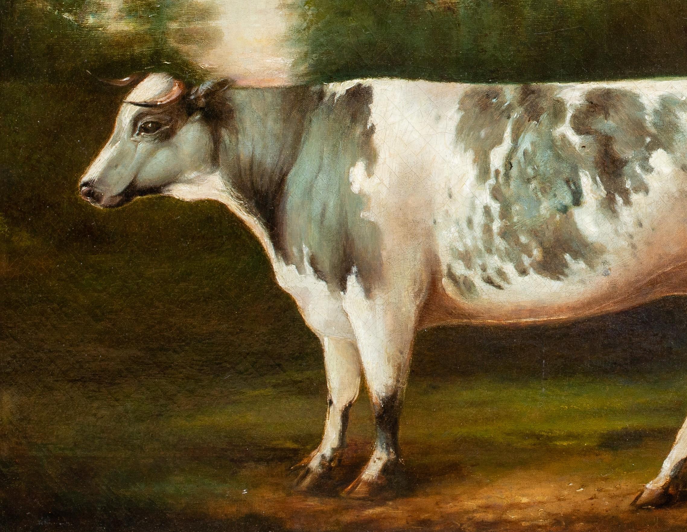 Portrait Of A Prize Holstein Friesian Cow, circa 1800 - Brown Portrait Painting by Unknown