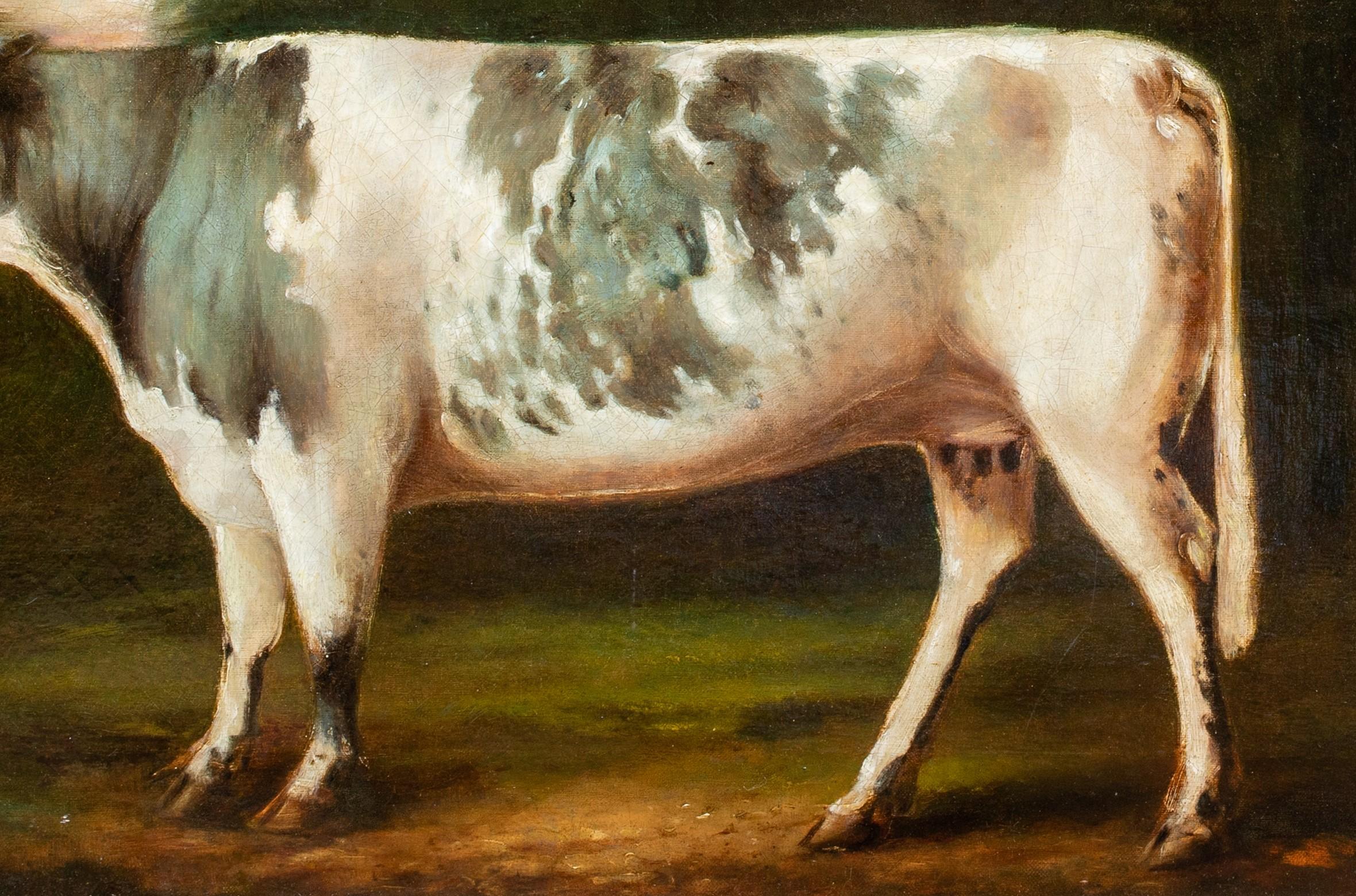Portrait Of A Prize Holstein Friesian Cow, circa 1800

Early & Rare British School Study

Large circa 1800 British School portrait of a prize Holstein Friesian Cow in a field, oil on canvas. Excellent quality and condition rare early study of the