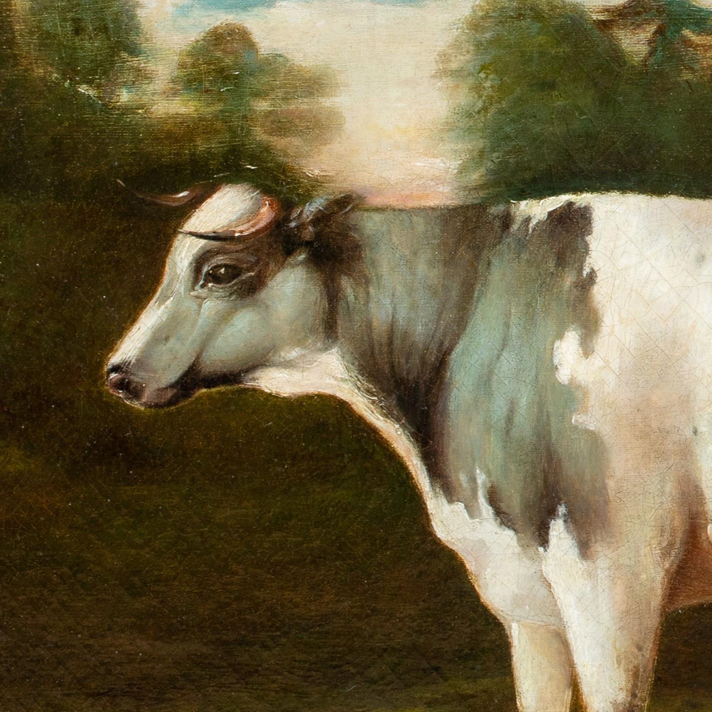 Portrait Of A Prize Holstein Friesian Cow, circa 1800 1