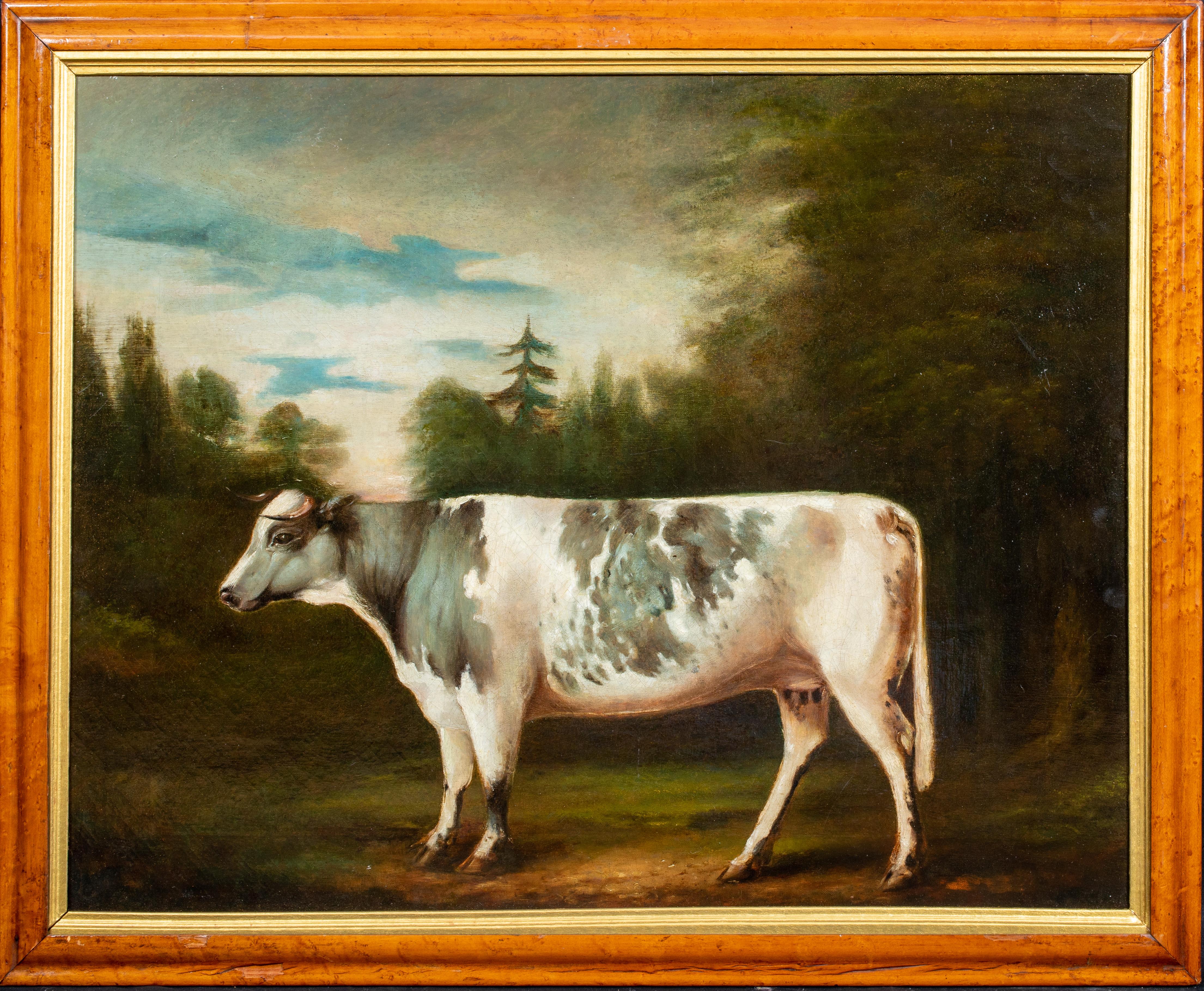Unknown Portrait Painting - Portrait Of A Prize Holstein Friesian Cow, circa 1800