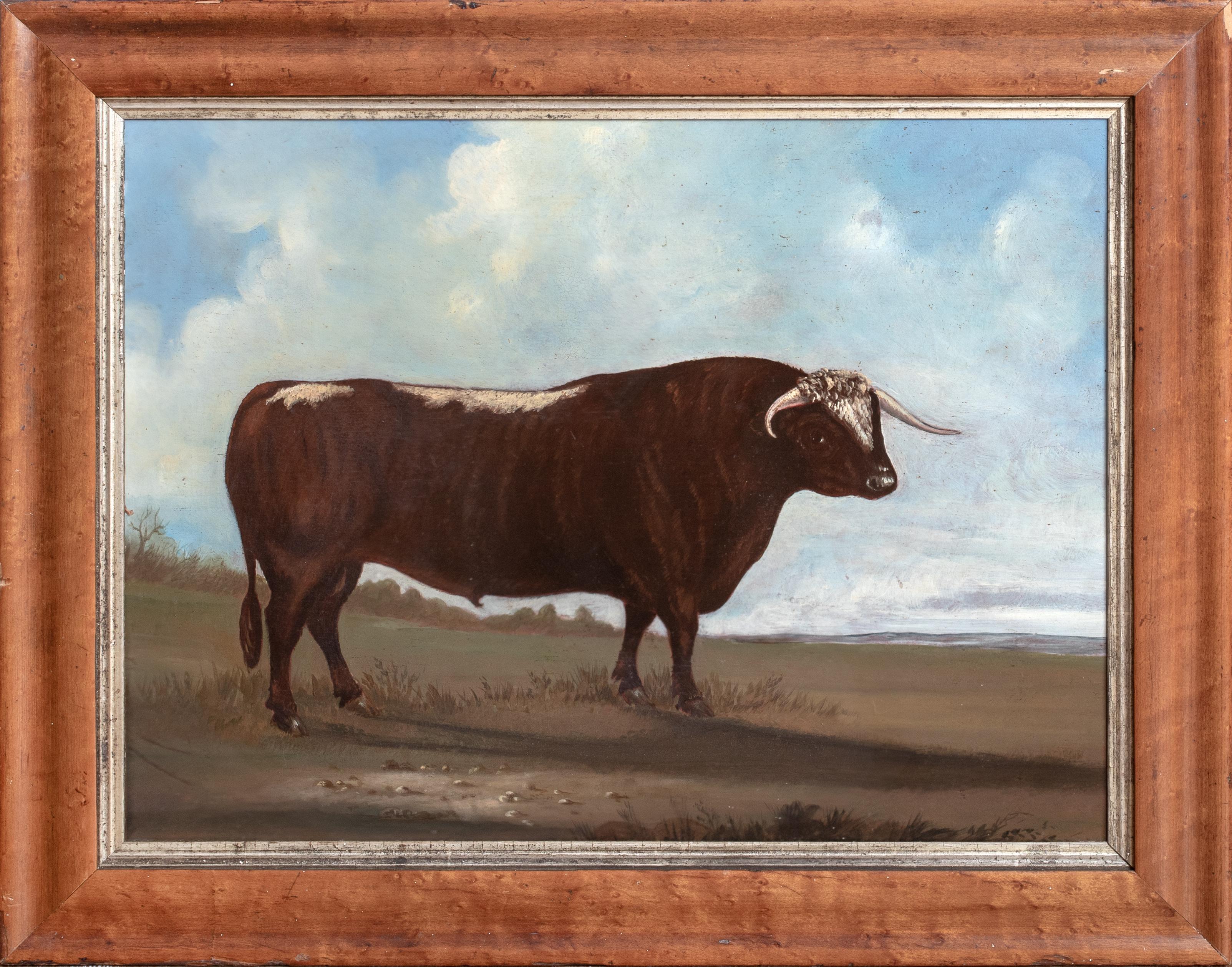 Portrait Of A Prize Longhorn Staffordshire Bull, early 19th Century - Painting by Unknown