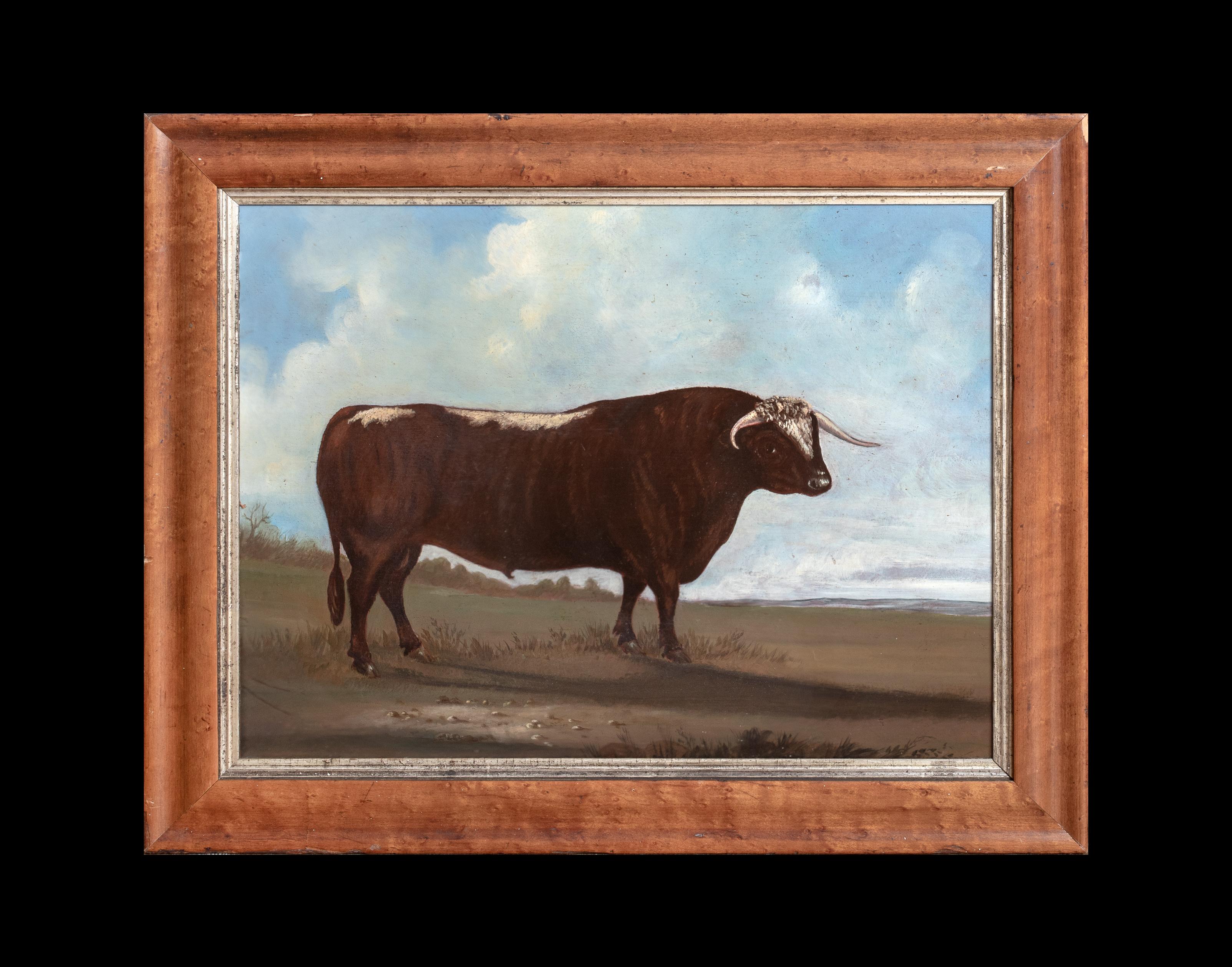 Portrait Of A Prize Longhorn Staffordshire Bull, early 19th Century - Brown Animal Painting by Unknown