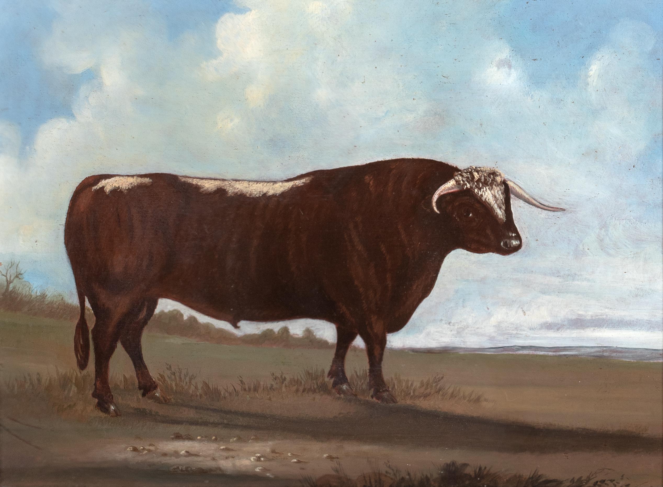 Portrait Of A Prize Longhorn Staffordshire Bull, early 19th Century

William Henry DAVIS (1786-1865) 

Large 19th Century English portrait of a prize Longhorn Staffordshire Bull, oil on canvas attributed to William Henry Davis. Excellent quality and