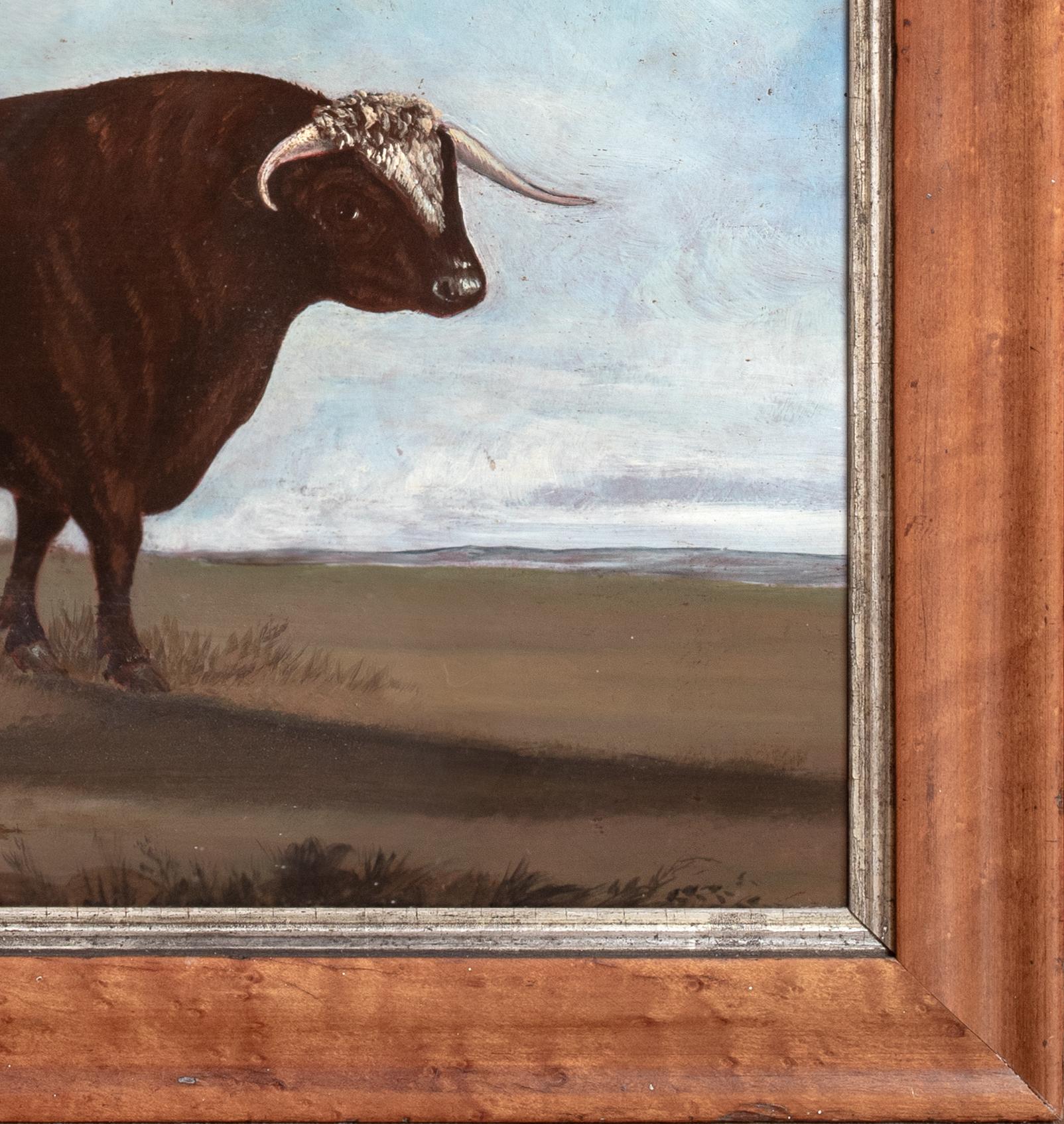 Portrait Of A Prize Longhorn Staffordshire Bull, early 19th Century For Sale 1