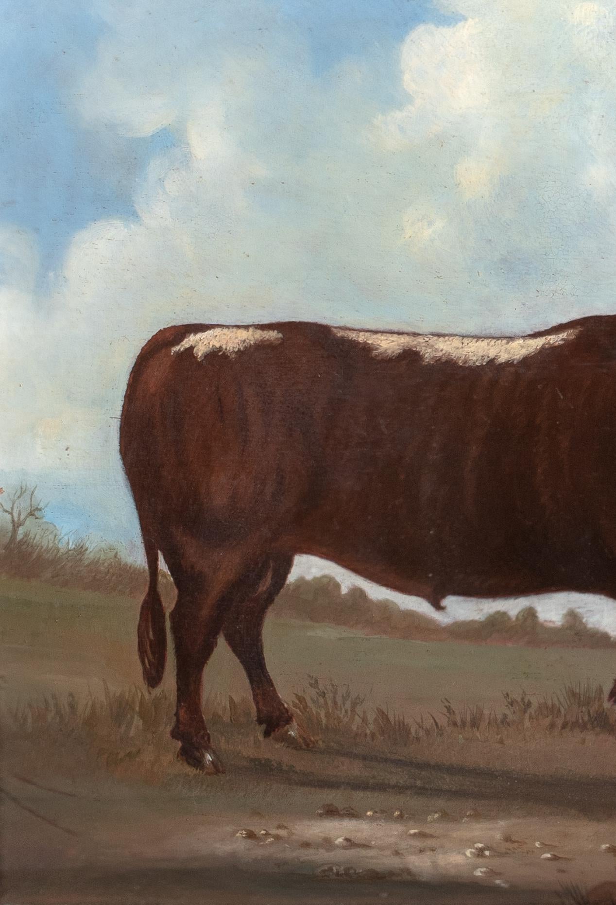 Portrait Of A Prize Longhorn Staffordshire Bull, early 19th Century For Sale 2