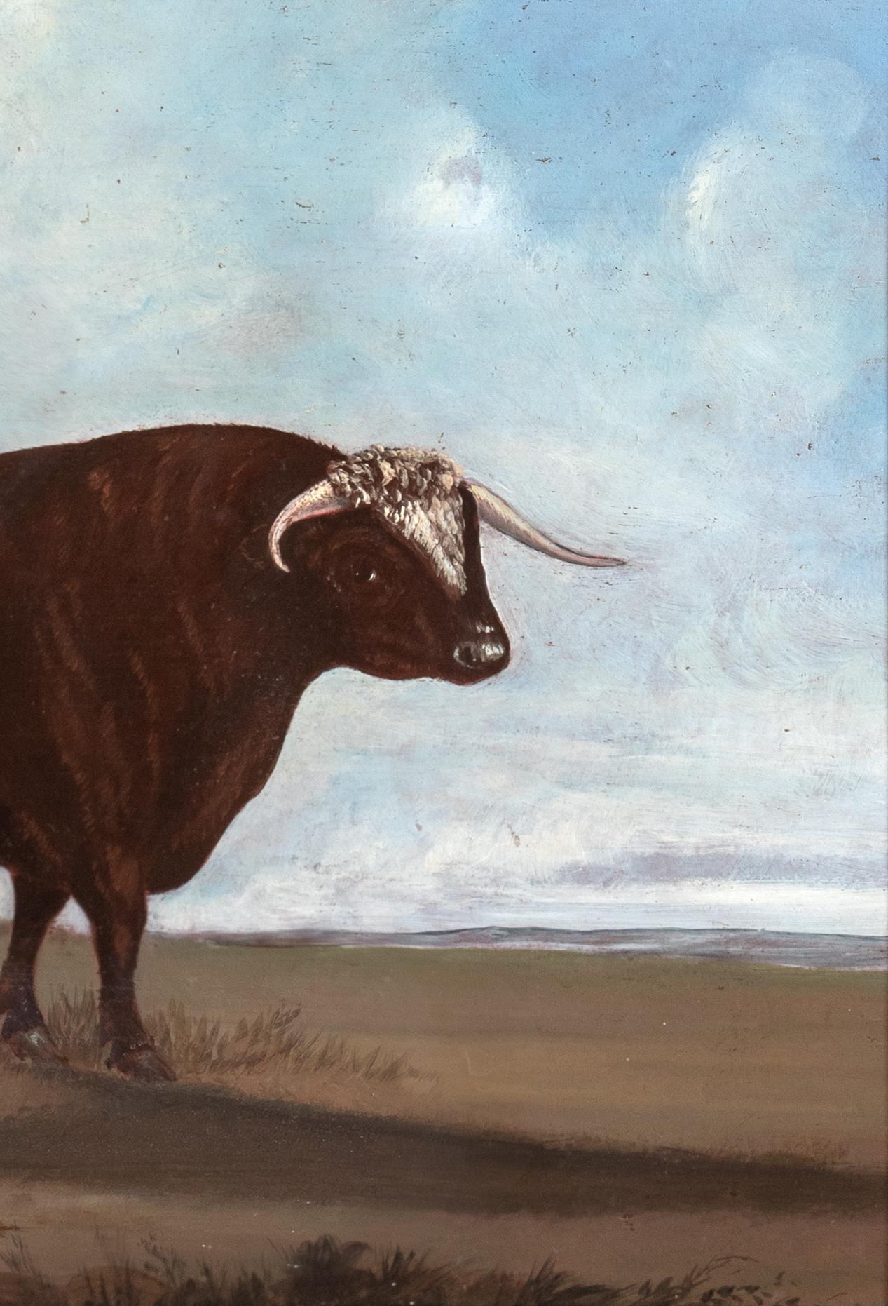 Portrait Of A Prize Longhorn Staffordshire Bull, early 19th Century For Sale 3