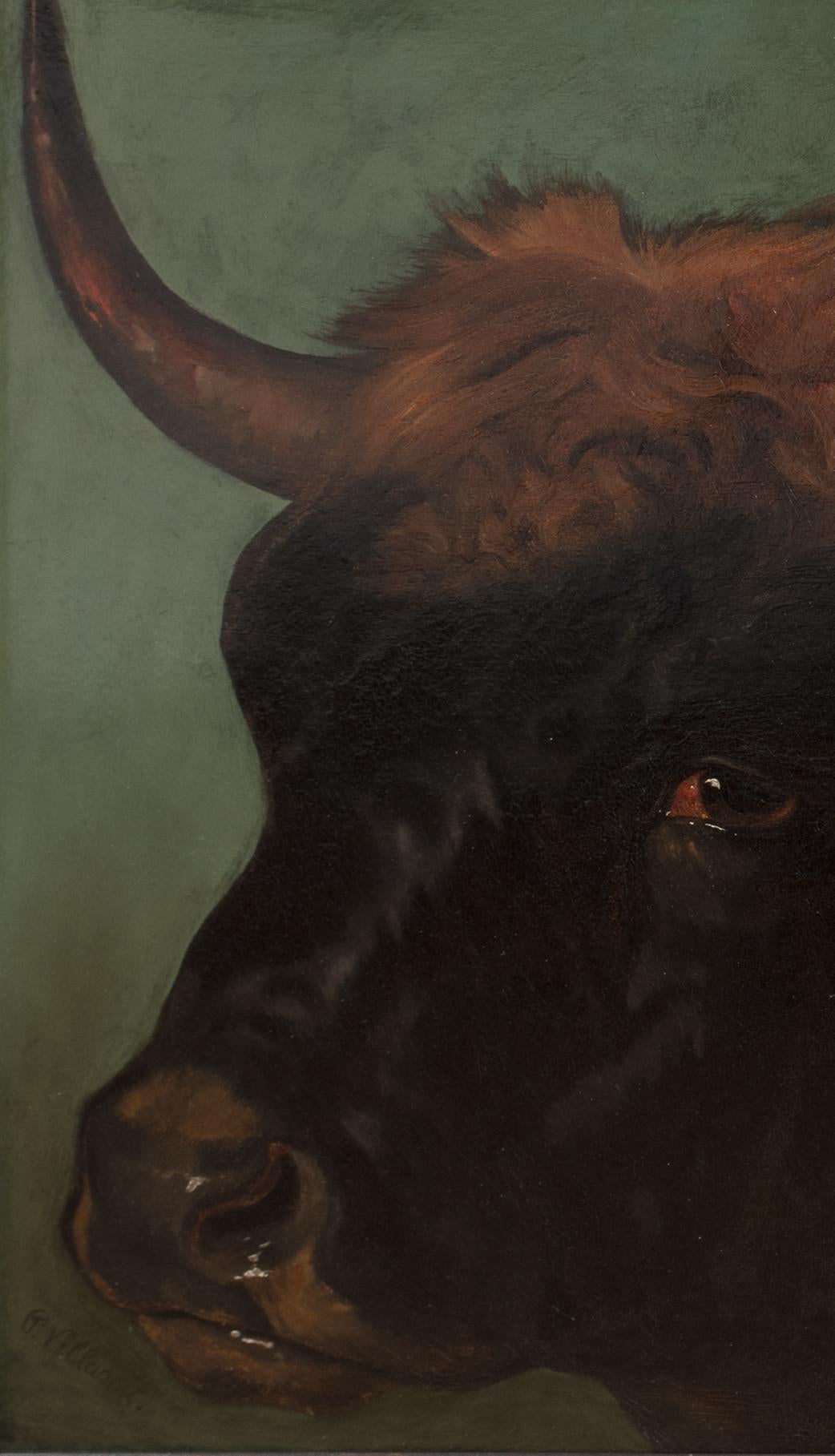 Portrait Of A Prize Spanish Fighting Bull, Sevilla, 19th Century PHILIP VILLAMIL im Angebot 6