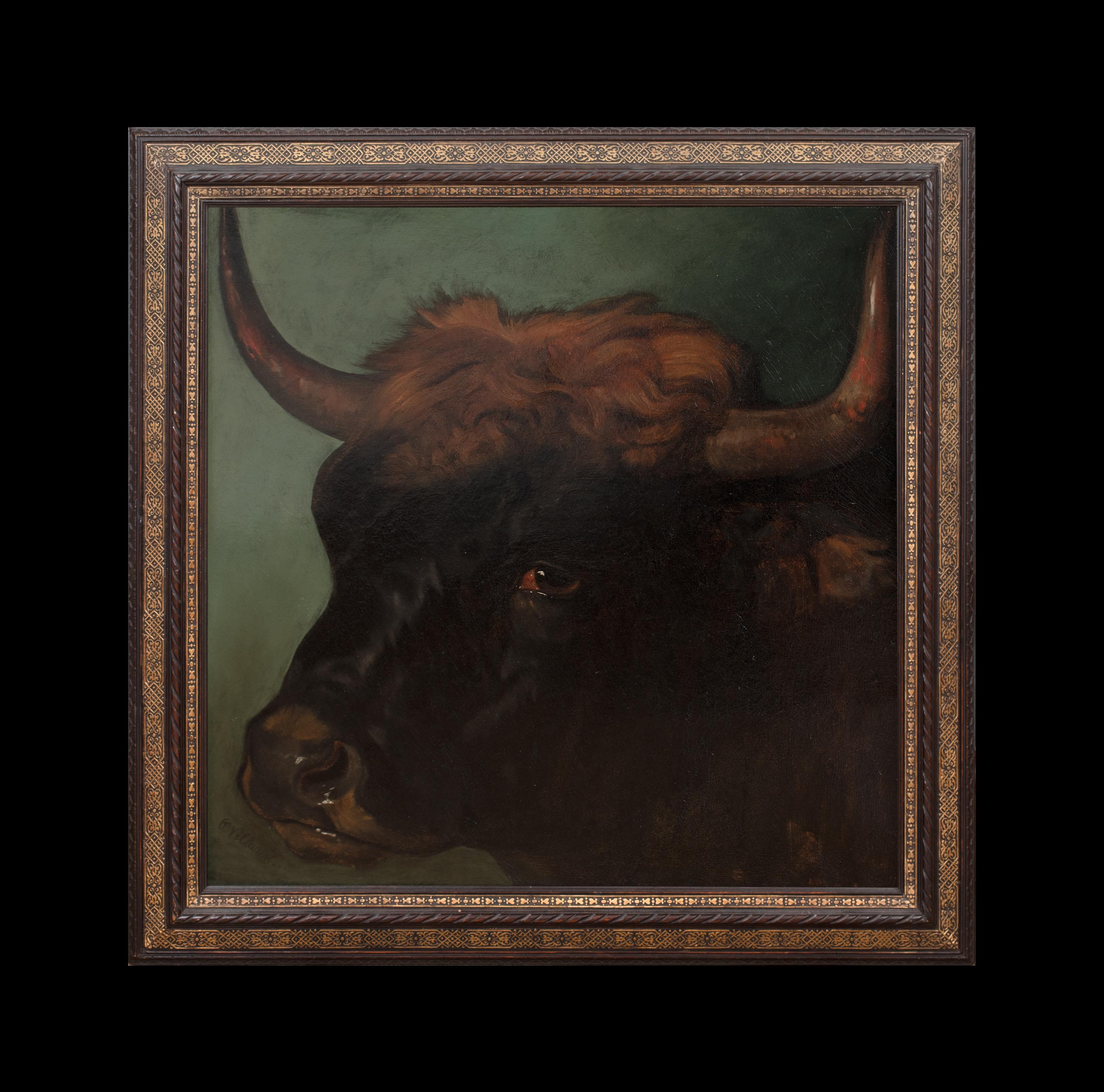 Portrait Of A Prize Spanish Fighting Bull, Sevilla, 19th Century PHILIP VILLAMIL – Painting von Unknown