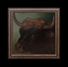 Portrait Of A Prize Spanish Fighting Bull, Sevilla, 19th Century PHILIP VILLAMIL