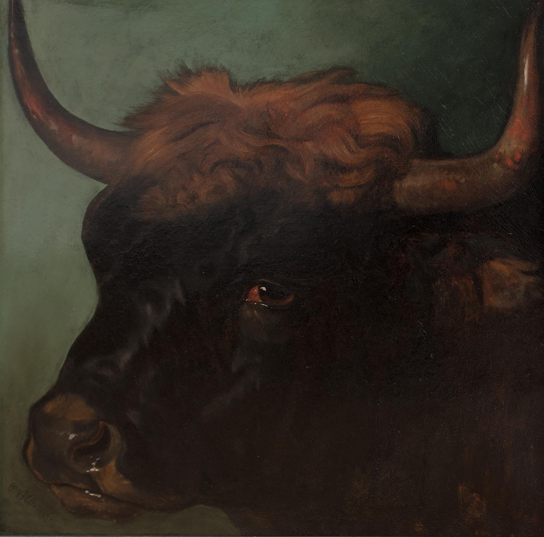 Portrait Of A Prize Spanish Fighting Bull, Sevilla, 19th Century PHILIP VILLAMIL (Schwarz), Portrait Painting, von Unknown