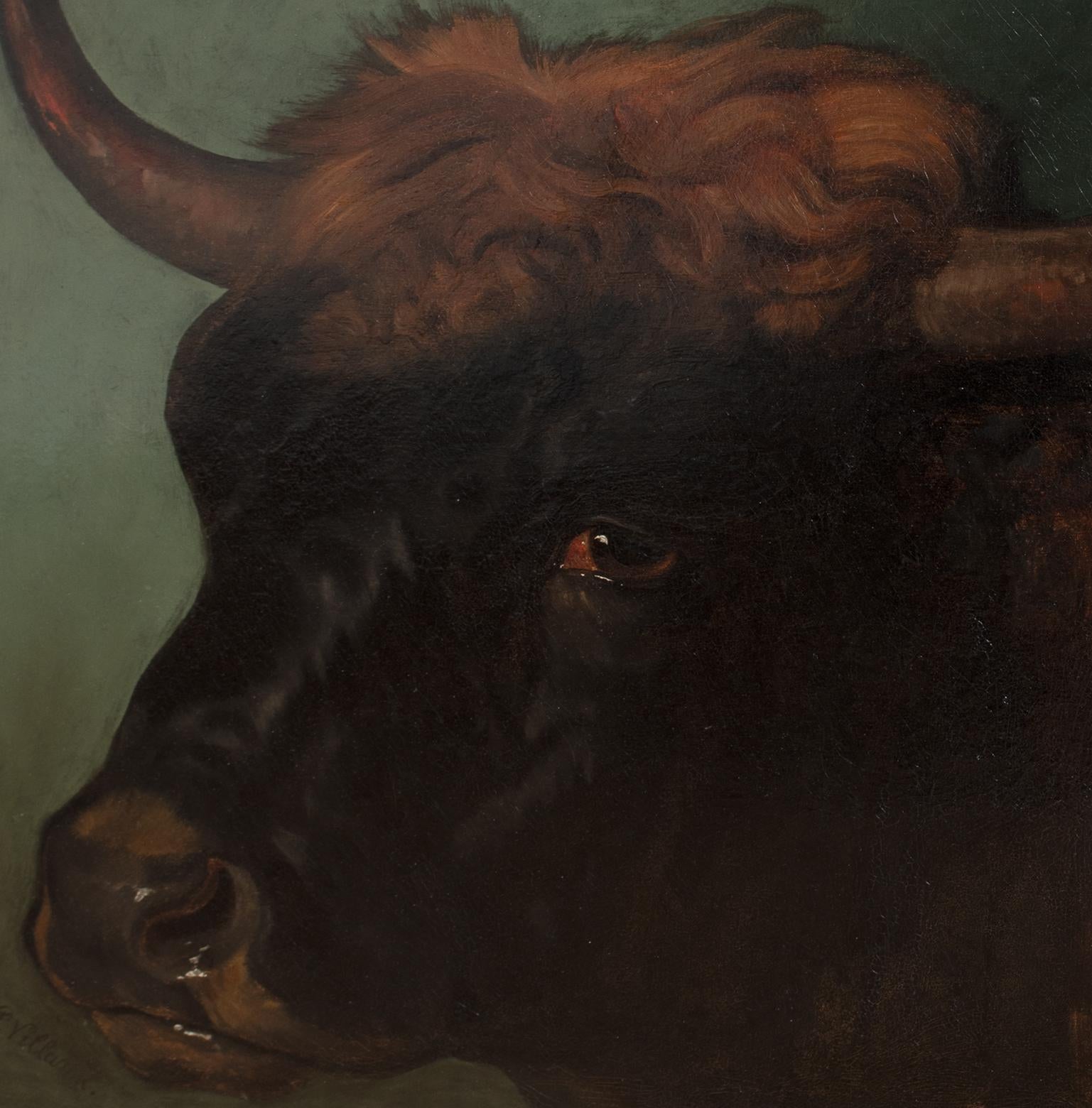 Portrait Of A Prize Spanish Fighting Bull, Sevilla, 19th Century PHILIP VILLAMIL im Angebot 1