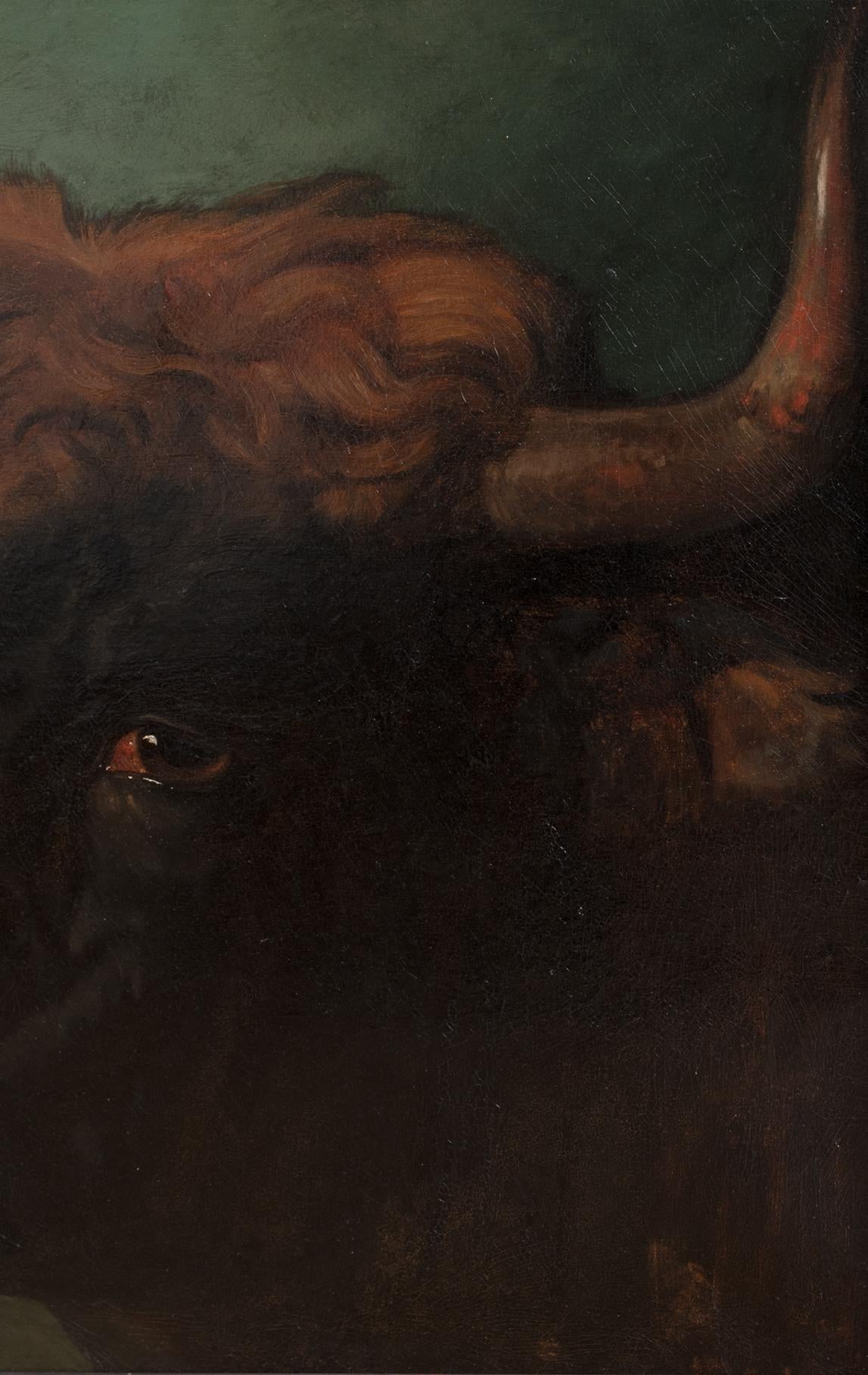Portrait Of A Prize Spanish Fighting Bull, Sevilla, 19th Century PHILIP VILLAMIL im Angebot 2