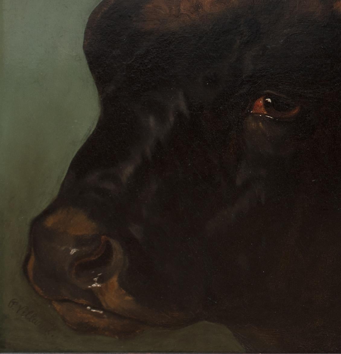 Portrait Of A Prize Spanish Fighting Bull, Sevilla, 19th Century PHILIP VILLAMIL im Angebot 3