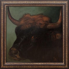 Portrait Of A Prize Spanish Fighting Bull, Sevilla, 19th Century PHILIP VILLAMIL