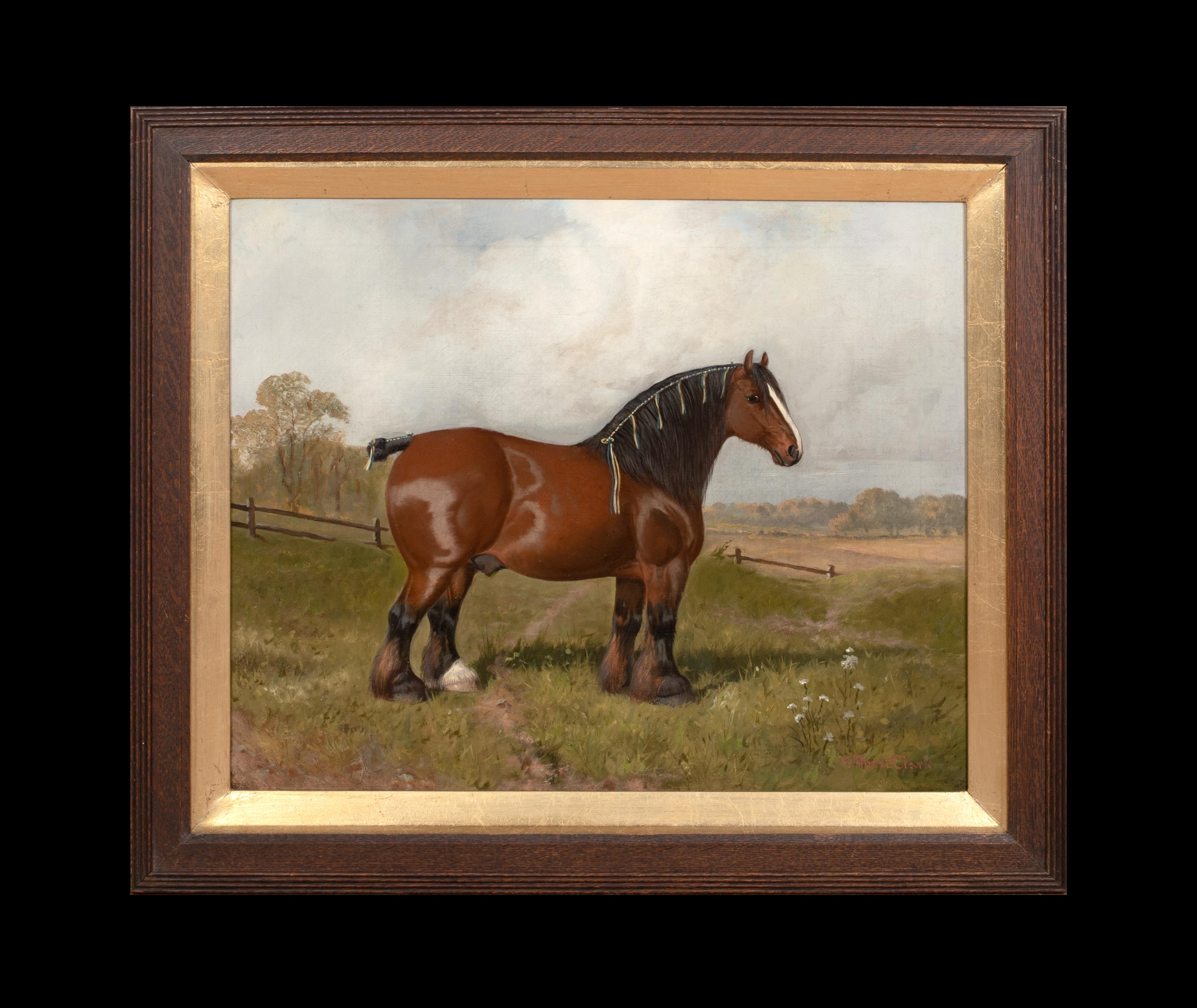 Porträt eines mit einem Preis ausgezeichneten Shire-Pferd, 19. Jahrhundert, von WILLIAM ALBERT CLARK (Braun), Animal Painting, von Unknown
