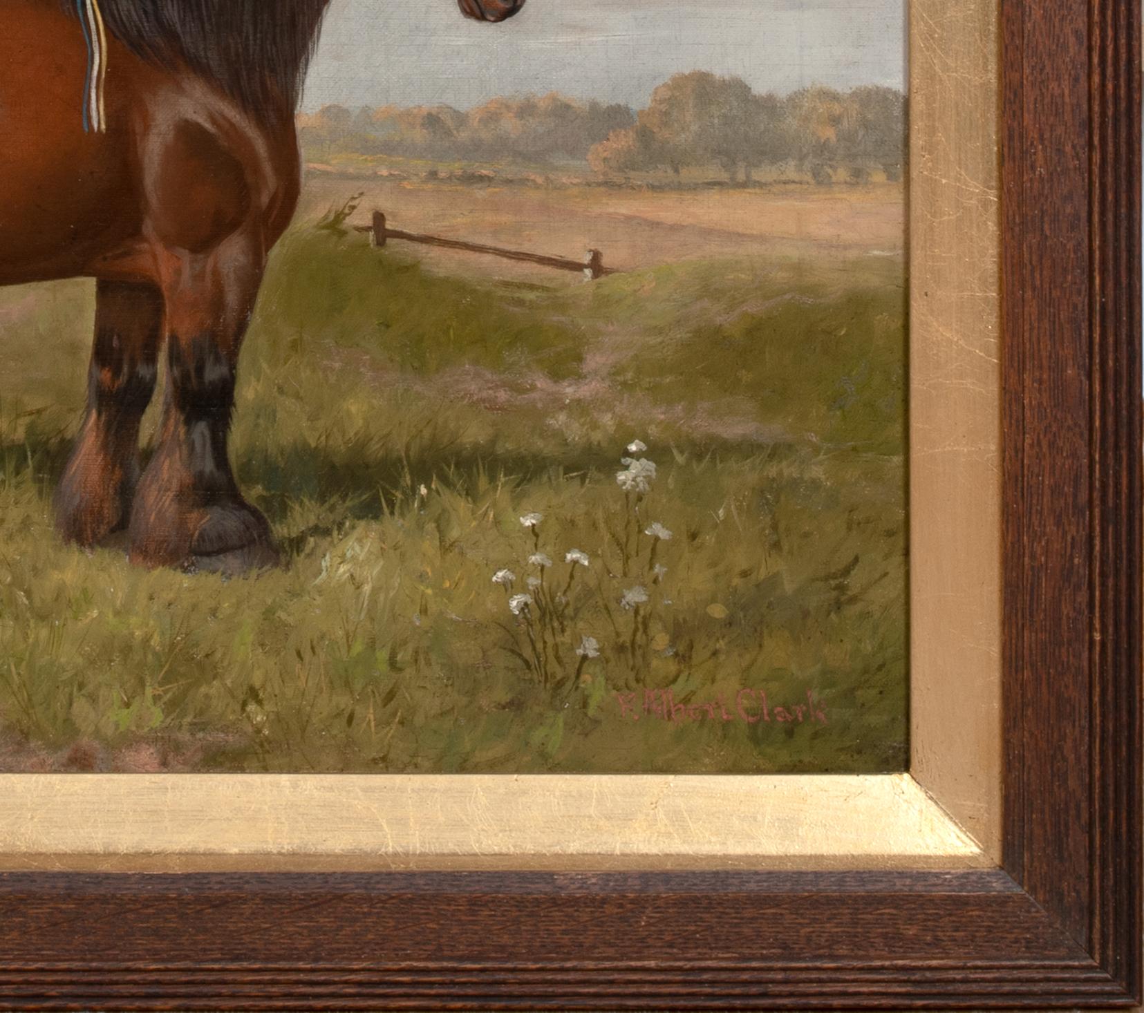 Porträt eines mit einem Preis ausgezeichneten Shire-Pferd, 19. Jahrhundert, von WILLIAM ALBERT CLARK im Angebot 1