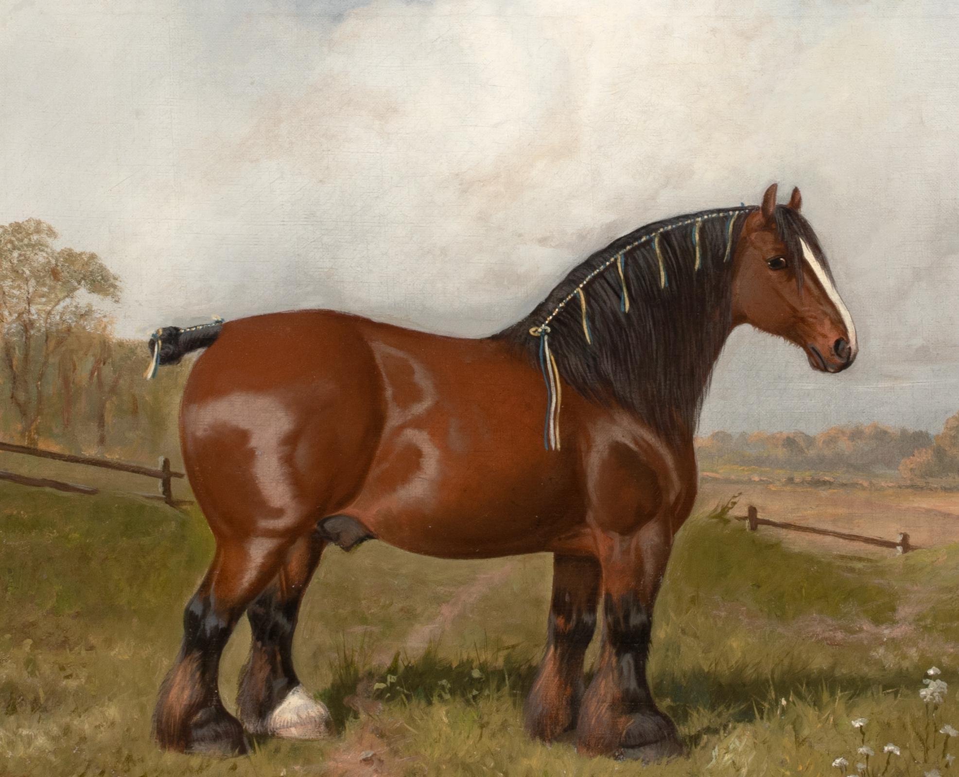 Porträt eines mit einem Preis ausgezeichneten Shire-Pferd, 19. Jahrhundert, von WILLIAM ALBERT CLARK im Angebot 2