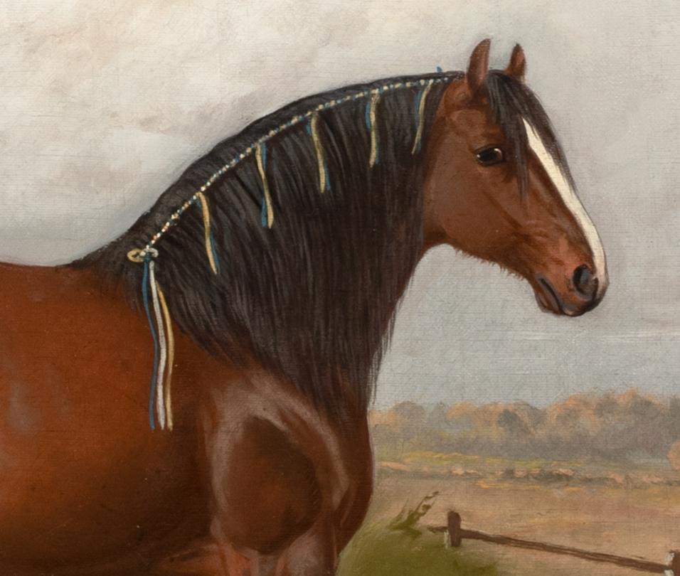 Porträt eines mit einem Preis ausgezeichneten Shire-Pferd, 19. Jahrhundert, von WILLIAM ALBERT CLARK im Angebot 4