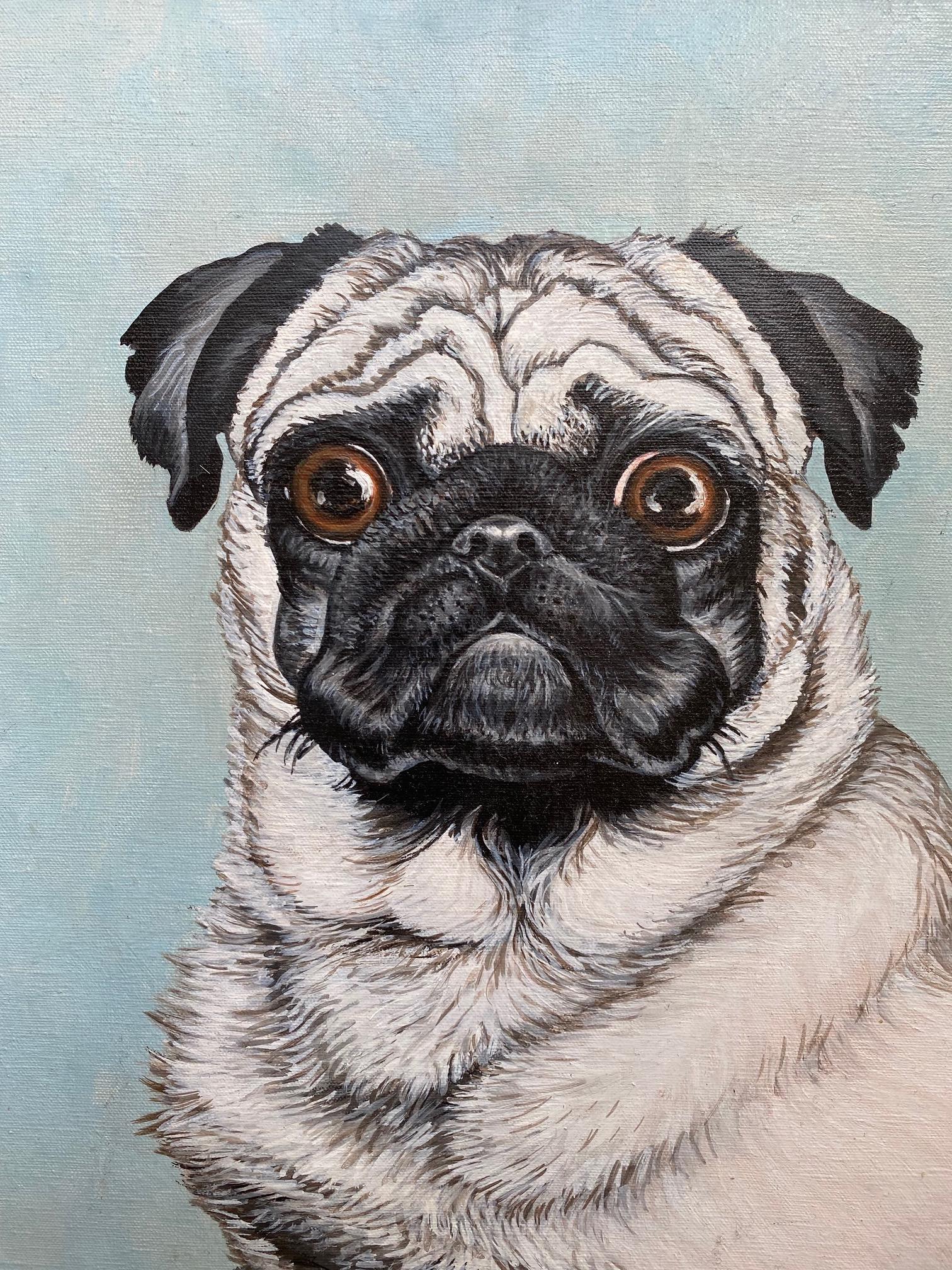 Portrait of a Pug  - Painting by Unknown