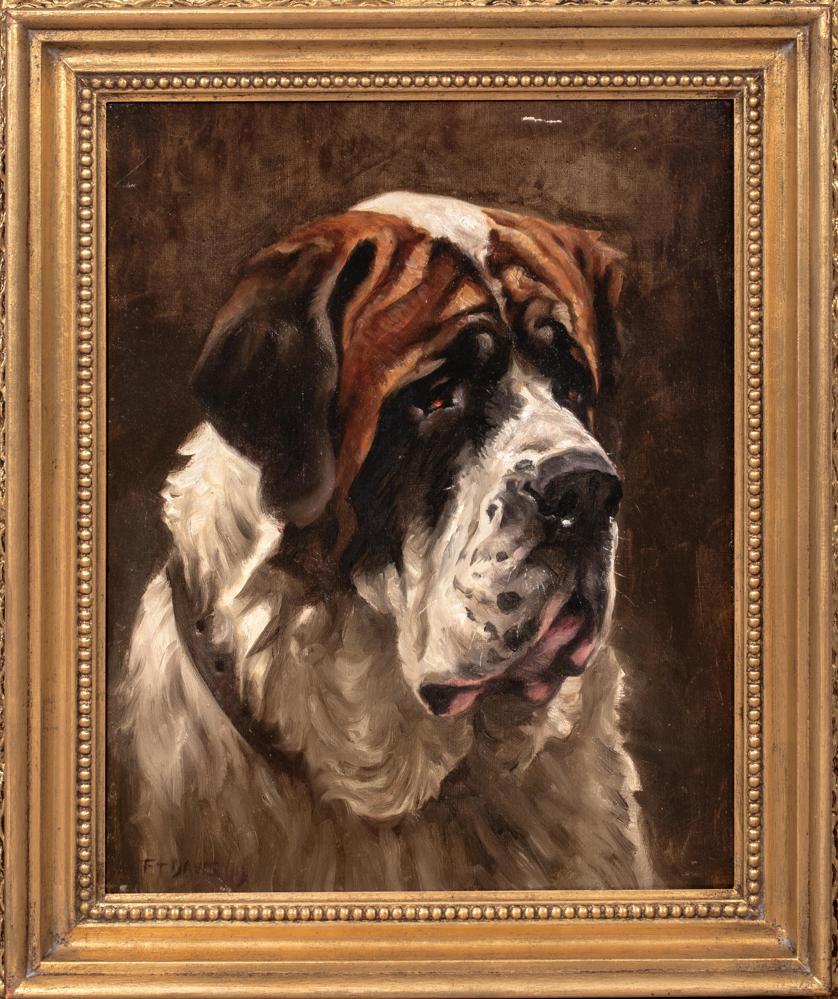 Unknown Animal Painting - Portrait Of A Saint Bernard, dated 1910 Frederick Thomas Daws (1878-1956)