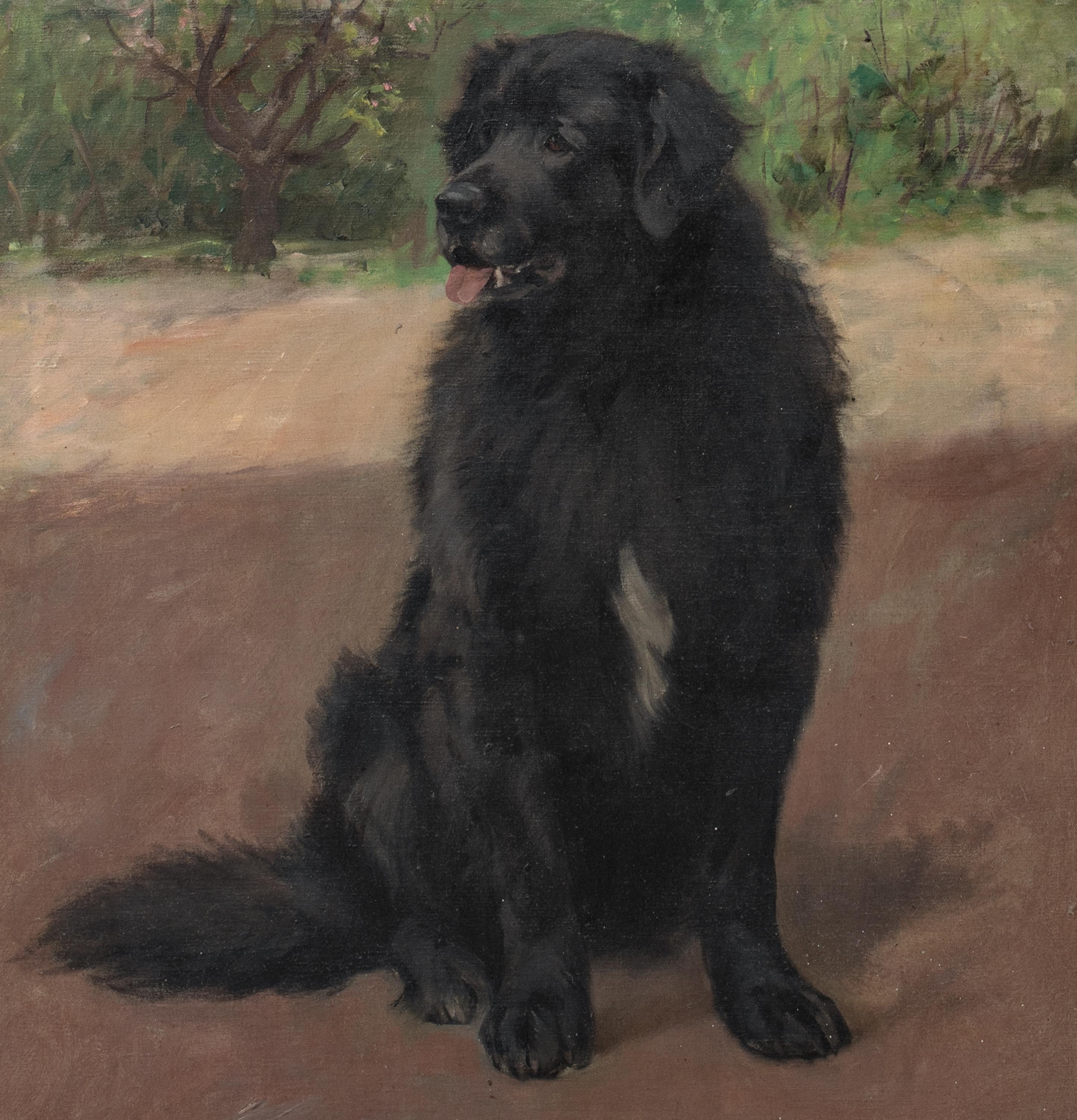 Portrait Of A Scottish Black Retriever, circa 1900  by Robert WATSON For Sale 6