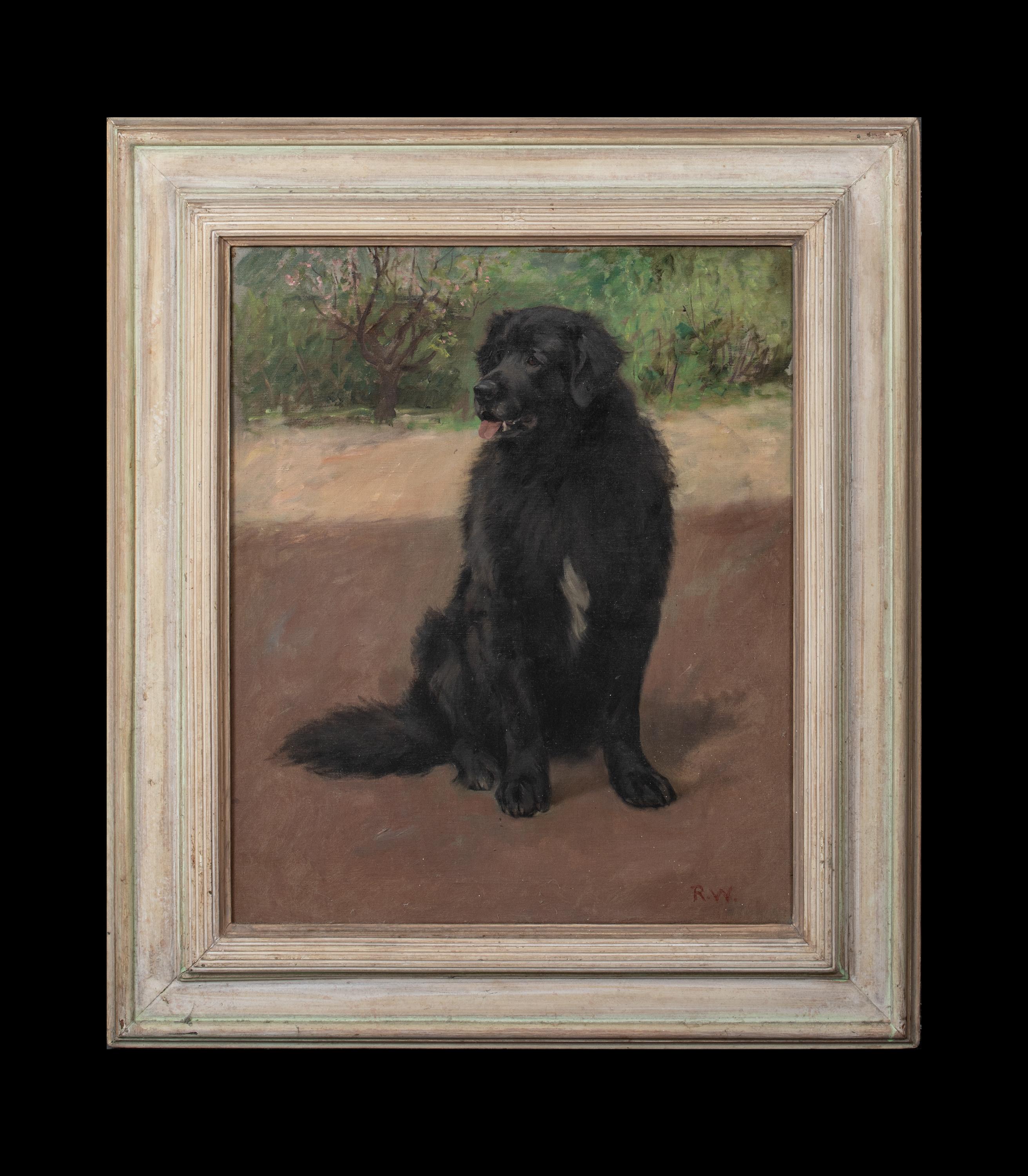 Portrait Of A Scottish Black Retriever, circa 1900  by Robert WATSON   - Painting by Unknown