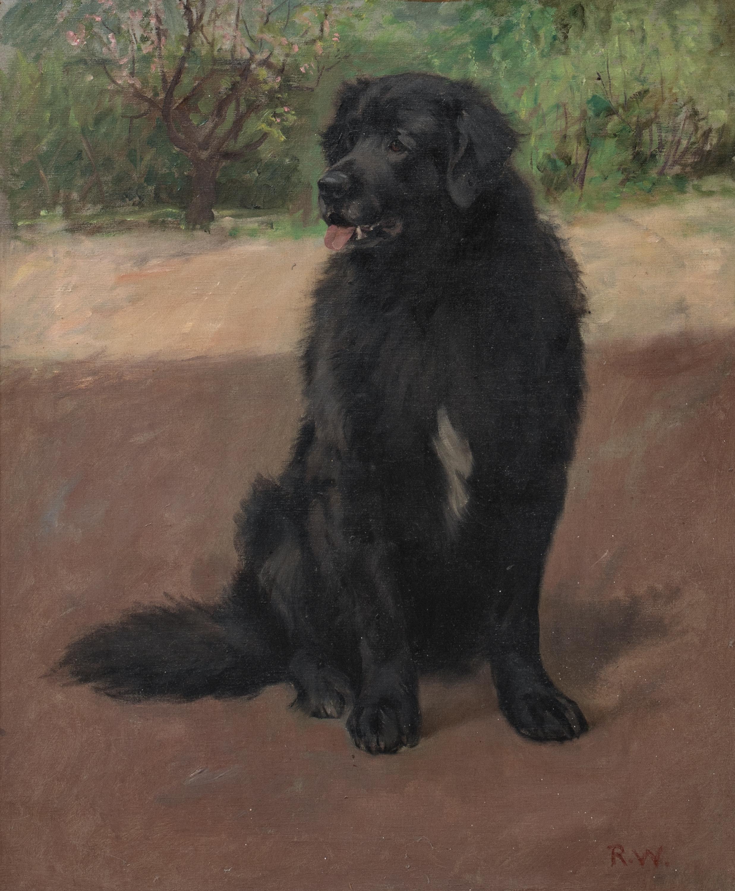 Portrait Of A Scottish Black Retriever, circa 1900

by Robert WATSON

Large 19th Century portrait of a Scottish Black Retriever, oil on canvas by Robert Watson. Important early depiction of the breed and descendent of the original black retrievers