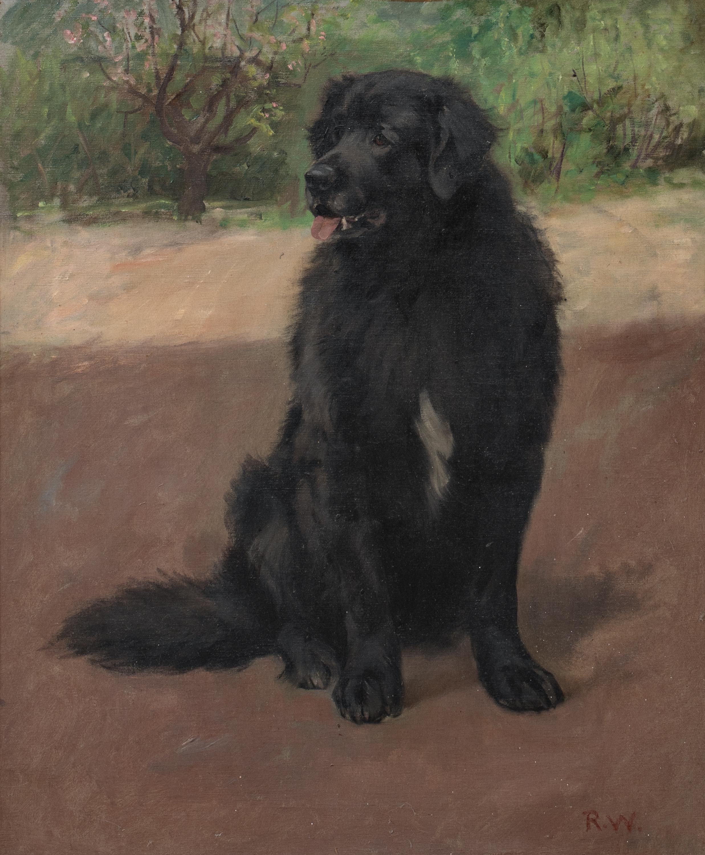 Portrait Of A Scottish Black Retriever, circa 1900  by Robert WATSON - Brown Animal Painting by Unknown