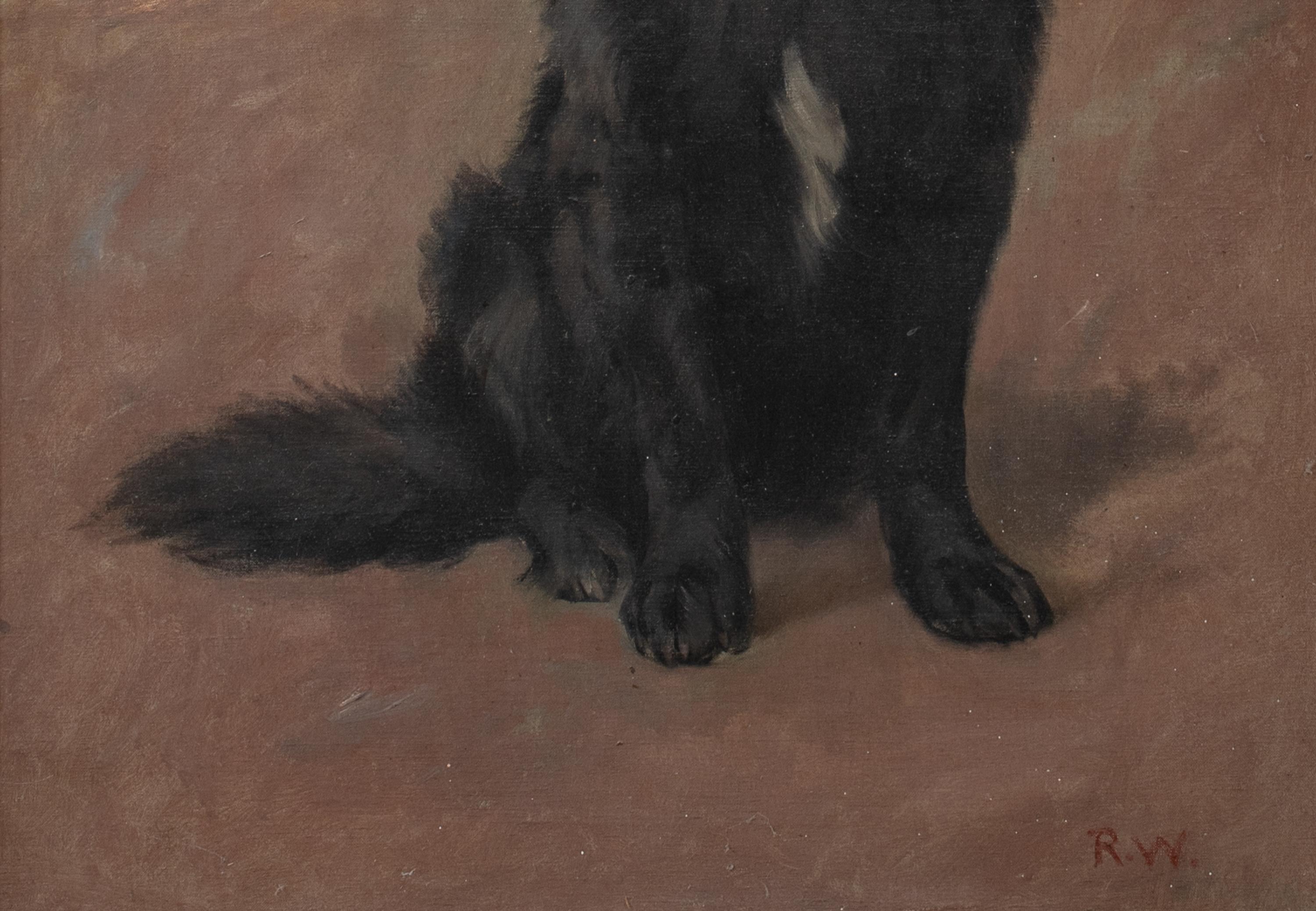 Portrait Of A Scottish Black Retriever, circa 1900  by Robert WATSON For Sale 1